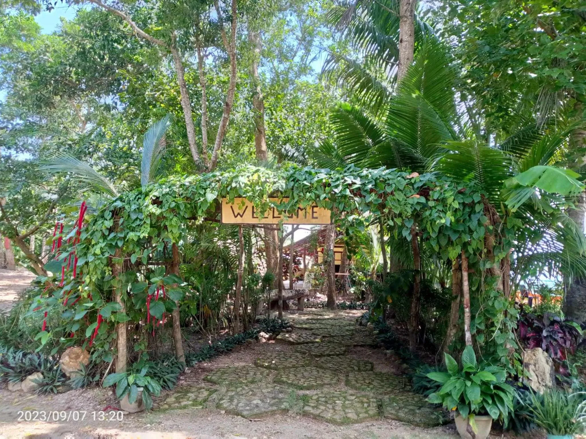 Restaurant/places to eat in Concepcion Divers Lodge