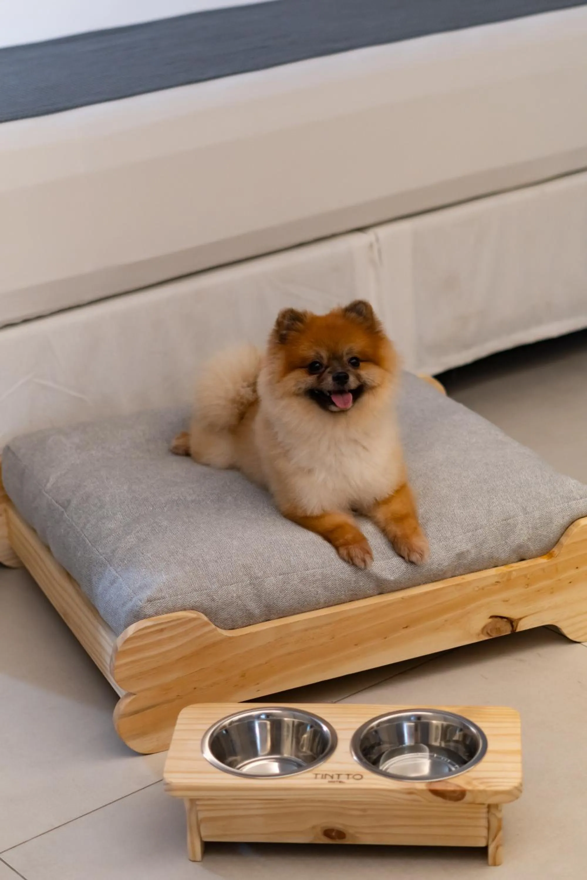 Pets in Tintto Hotel