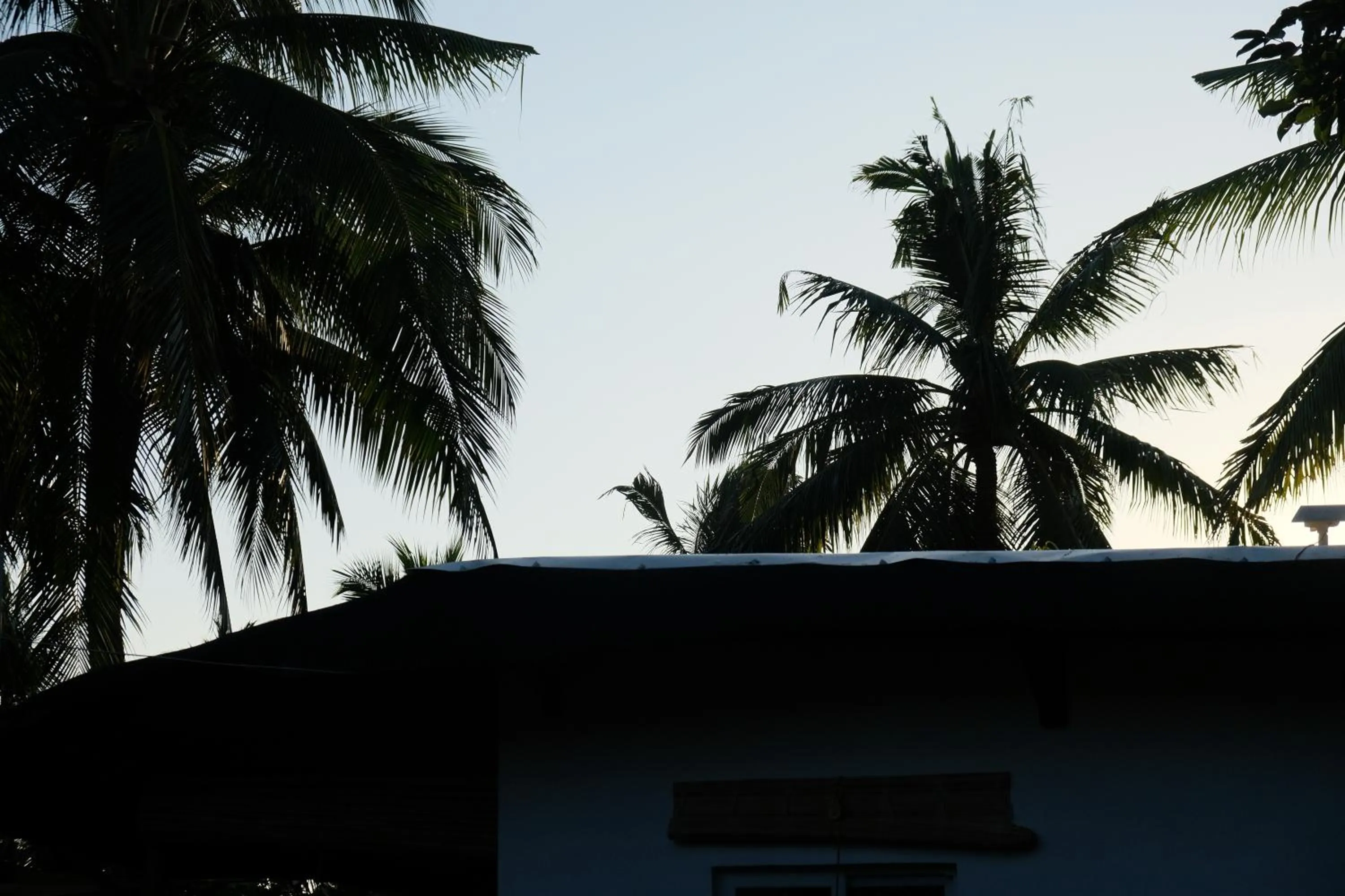 Day in Skott's Comfy Lodge