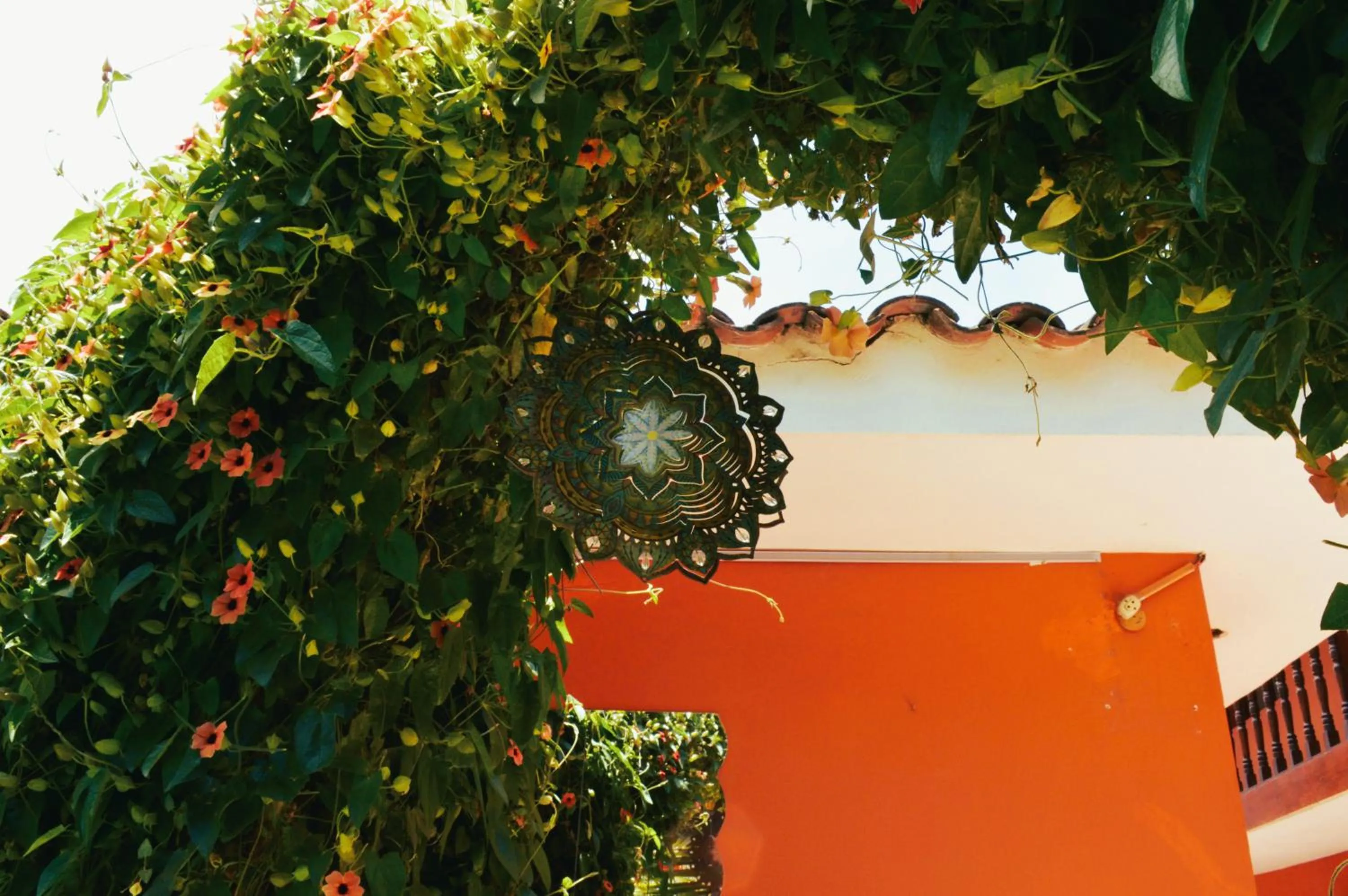 Garden in LILIUM VALLEY