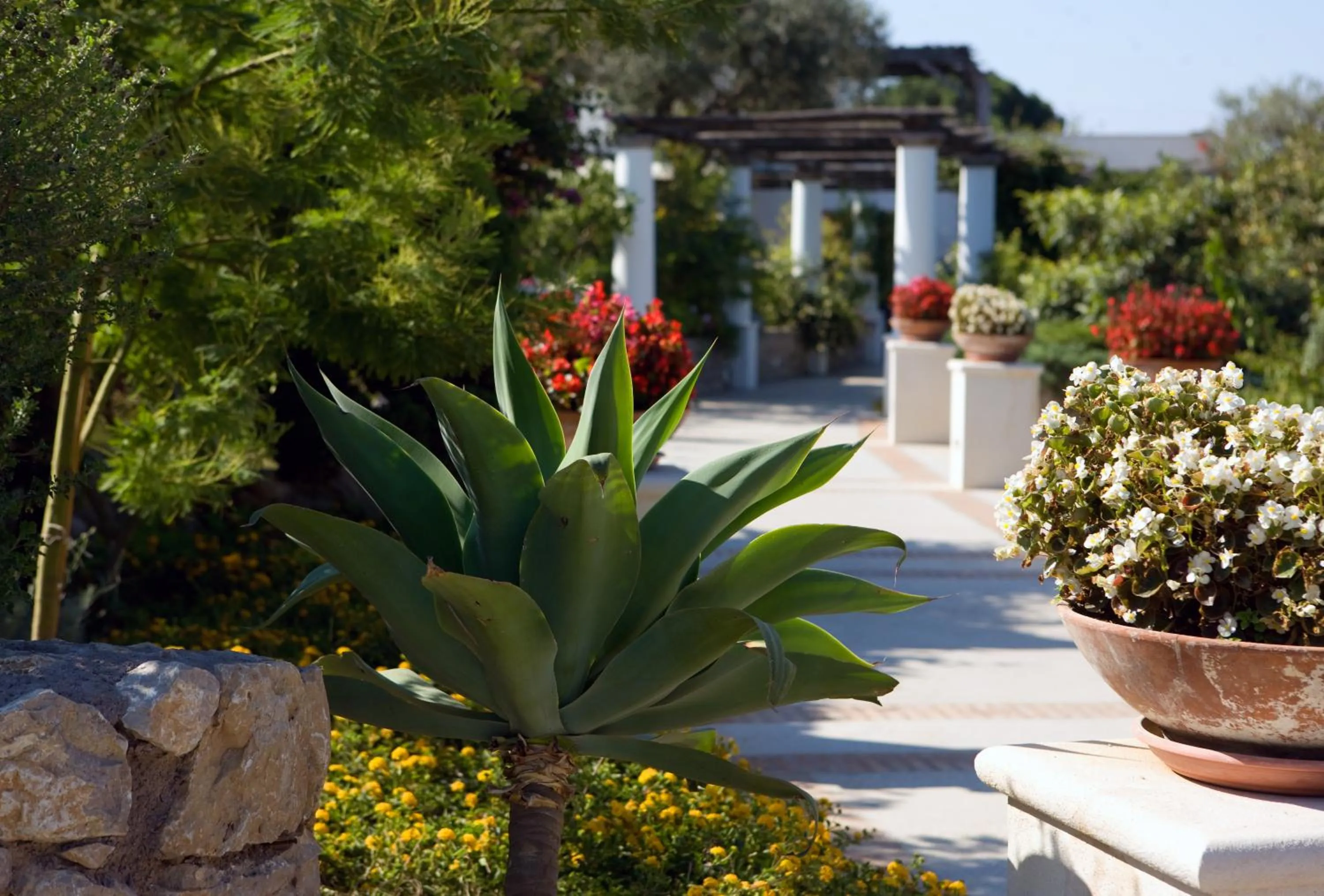 Facade/entrance in Hotel Al Mulino