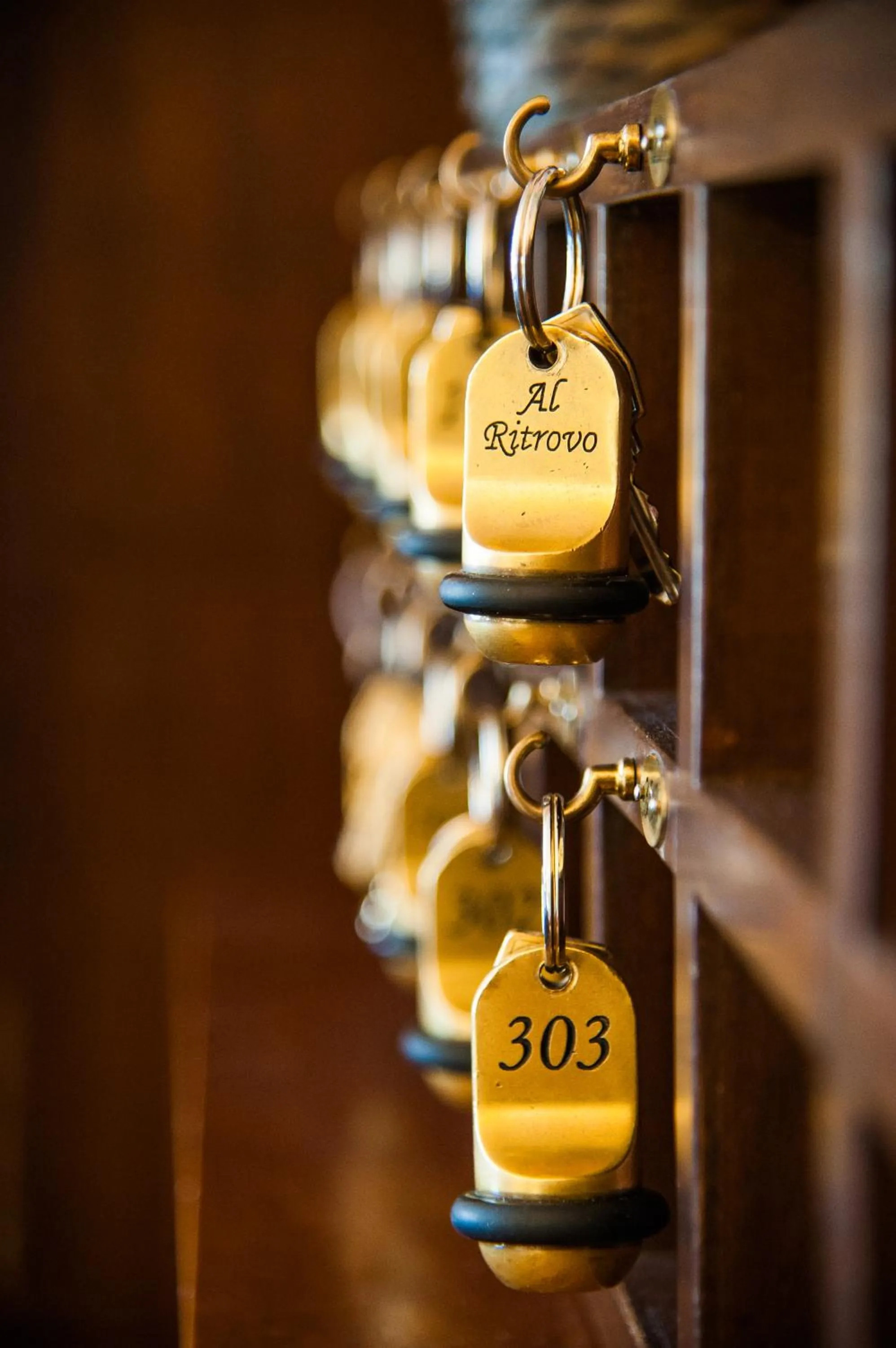 Lobby or reception in Hotel Al Ritrovo