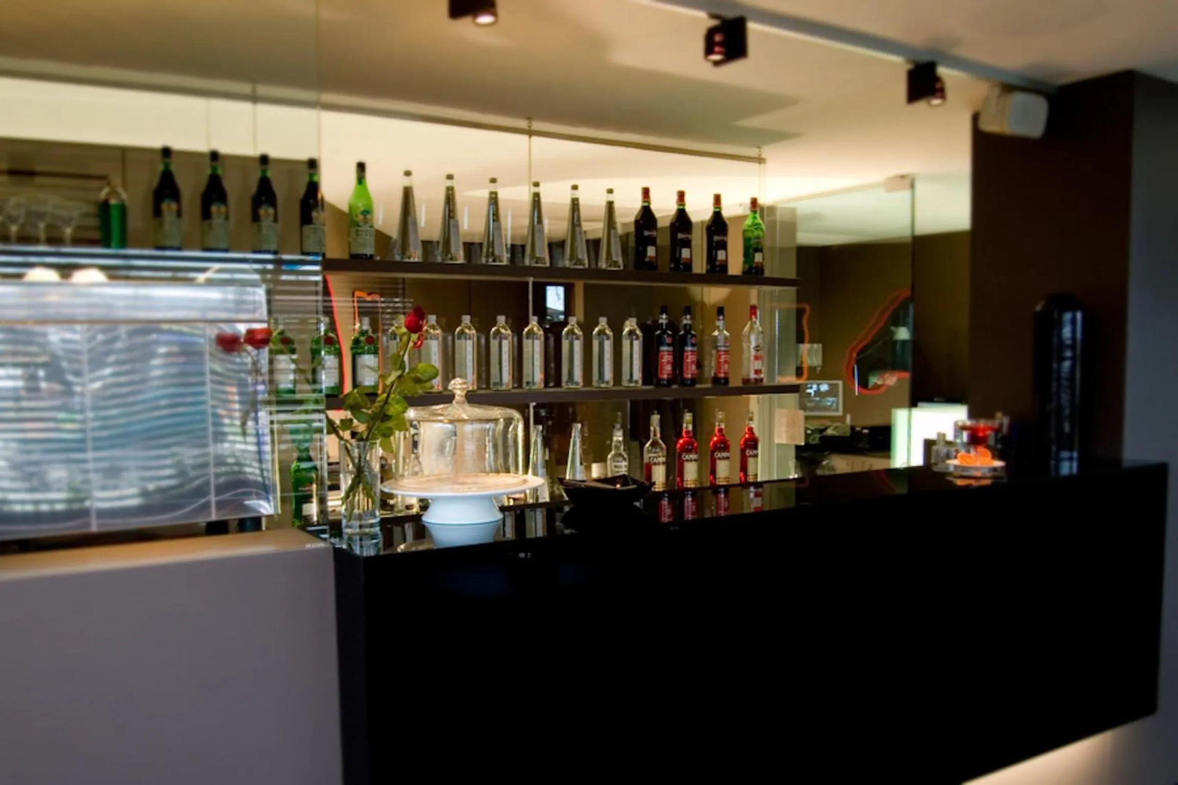 Lounge or bar in Hotel Salus