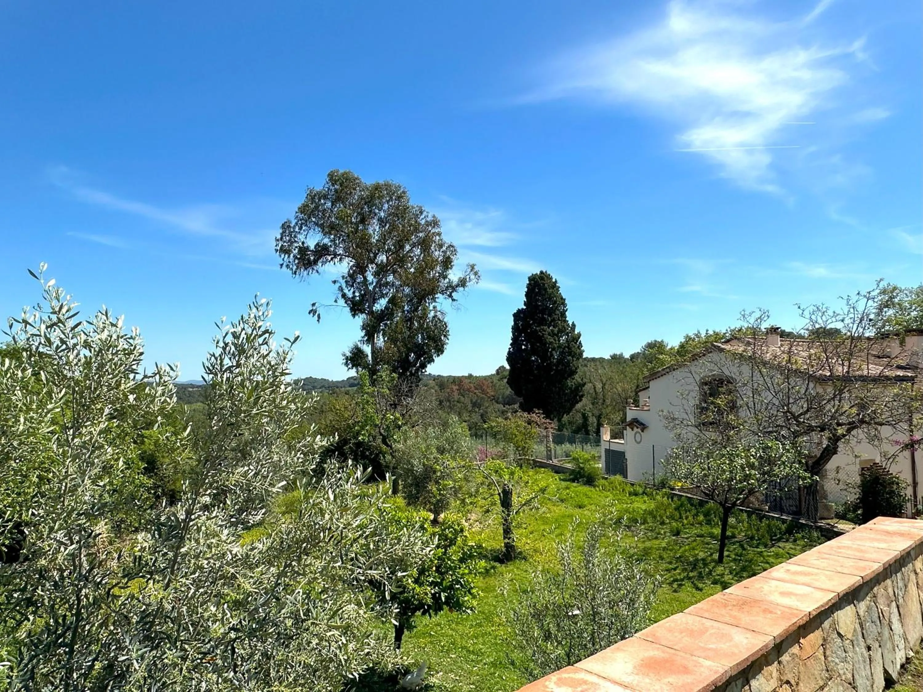 Property building in Masia Can Viver - Olive oil tourism B&B