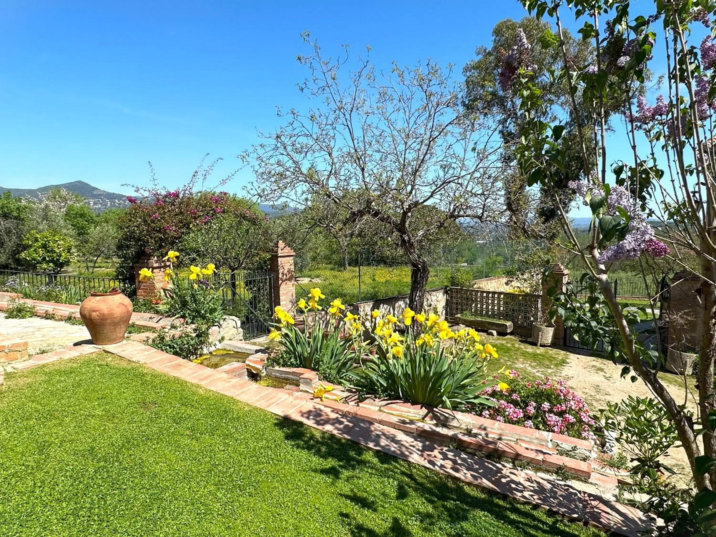 Garden in Masia Can Viver - Olive oil tourism B&B