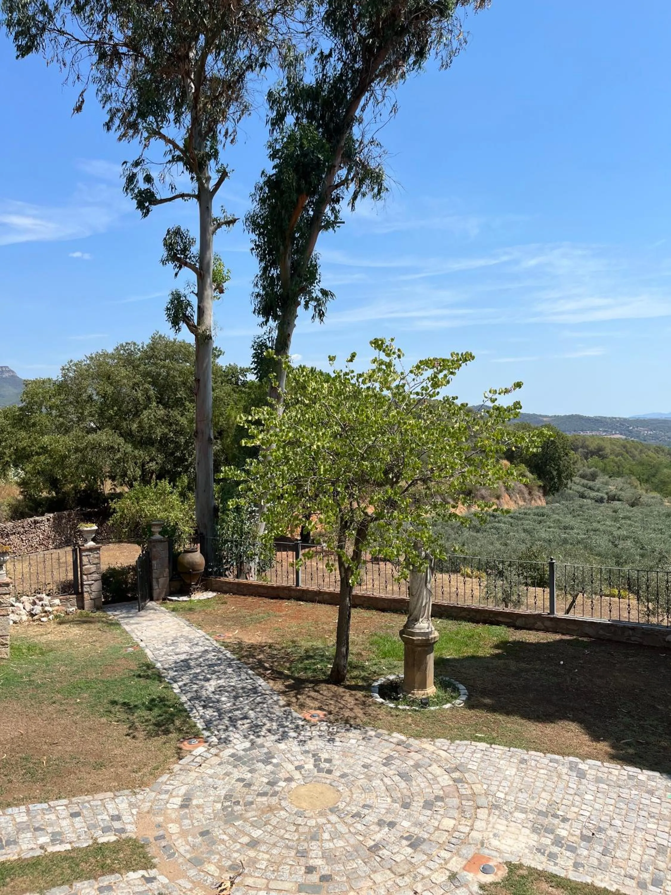 Natural landscape in Masia Can Viver - Olive oil tourism B&B