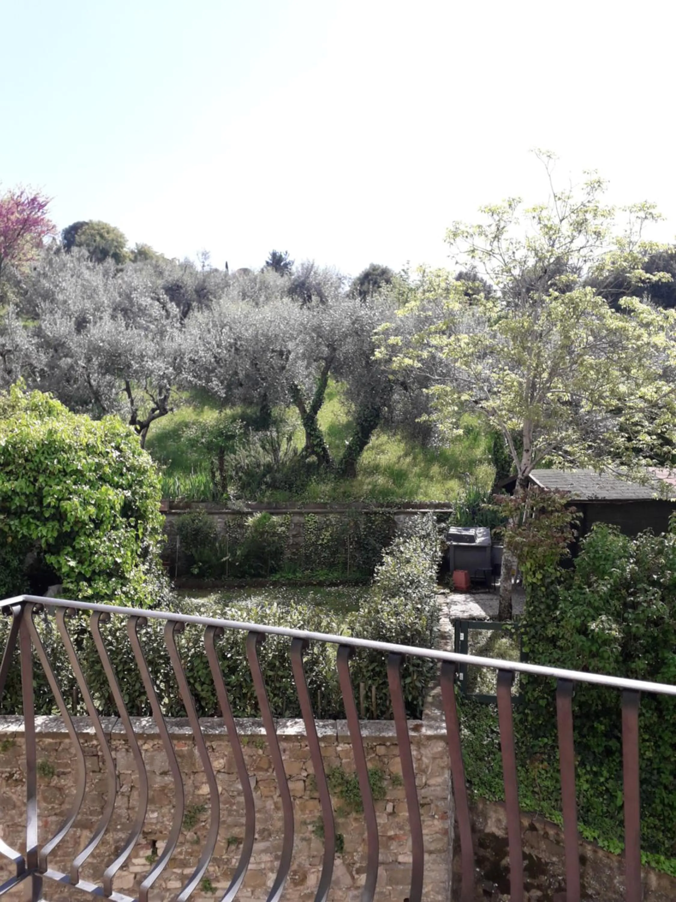 Balcony/Terrace in Hotel Villa Bonelli
