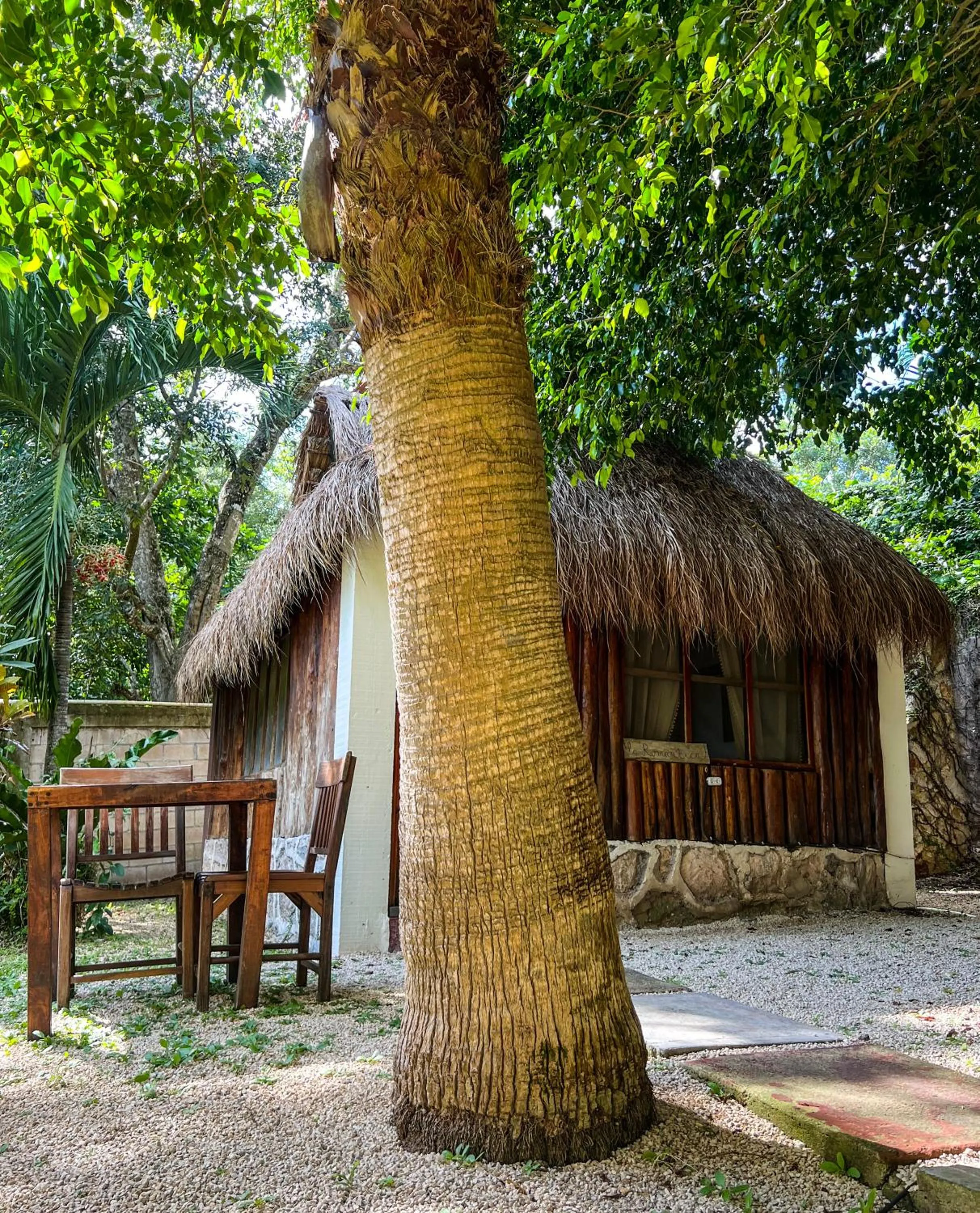 Property building in Villa Santuario Lake front Oasis