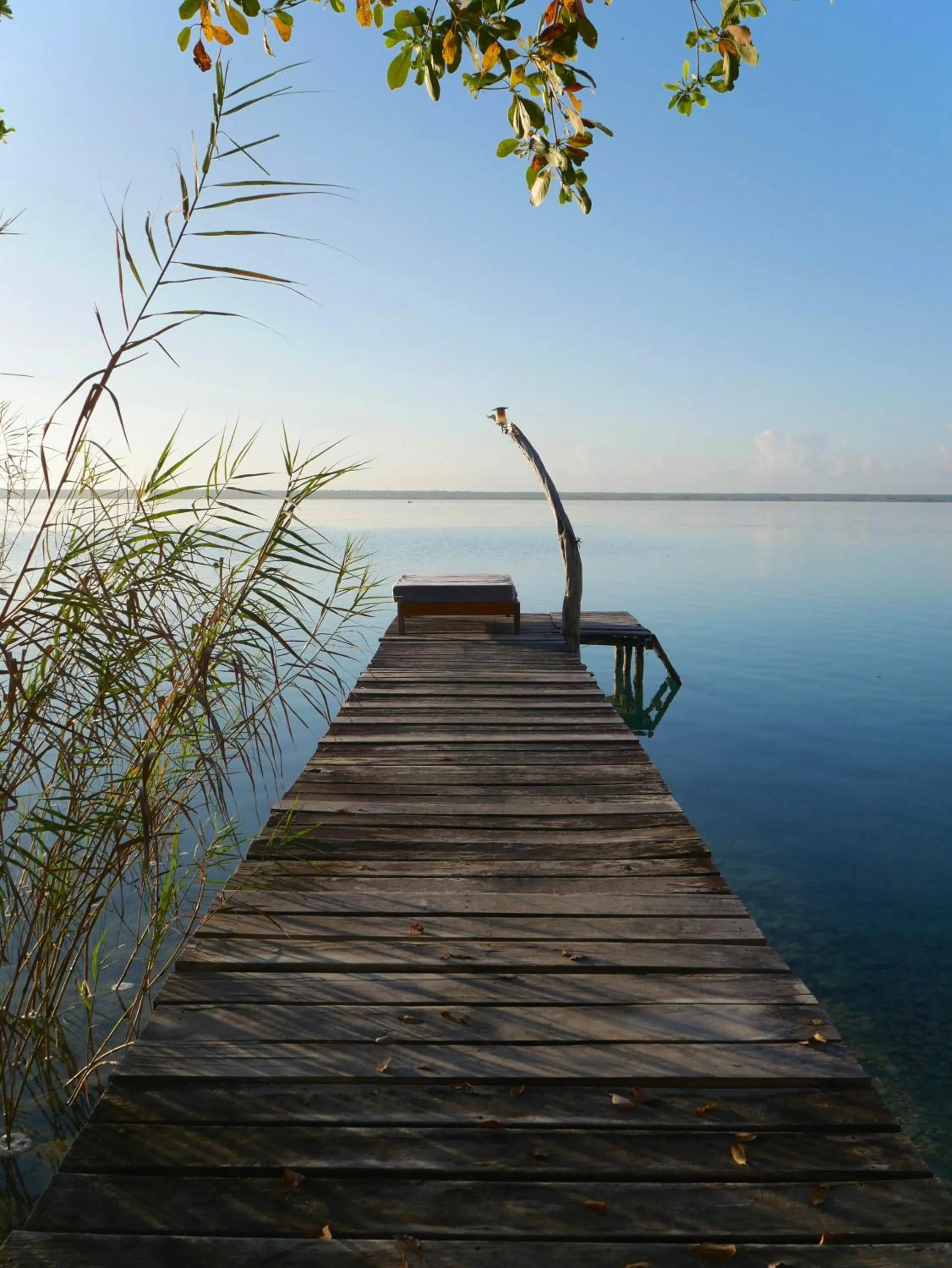 Natural landscape in Villa Santuario Lake front Oasis