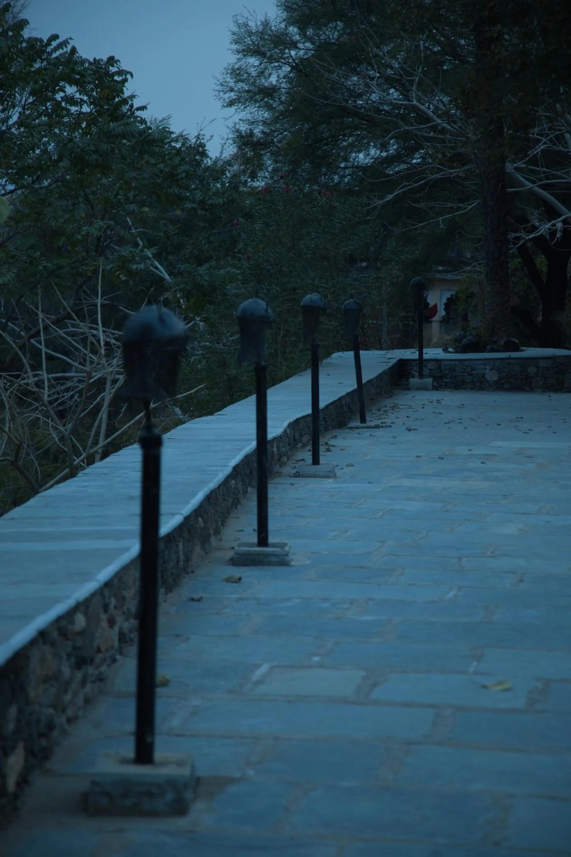 Night in The Fern Bambora Fort, Bambora, Udaipur