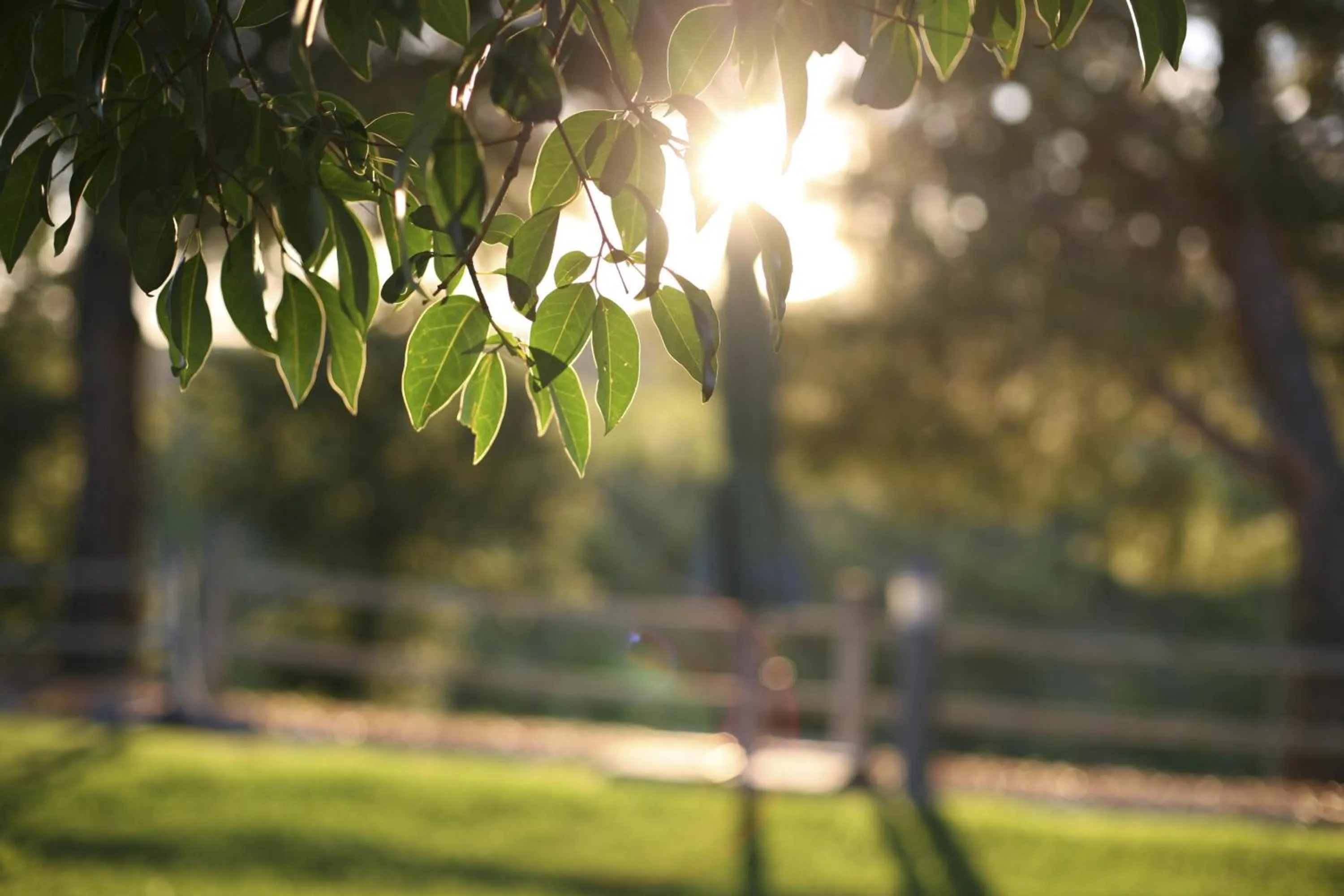 Garden in Tenuta La Lupa