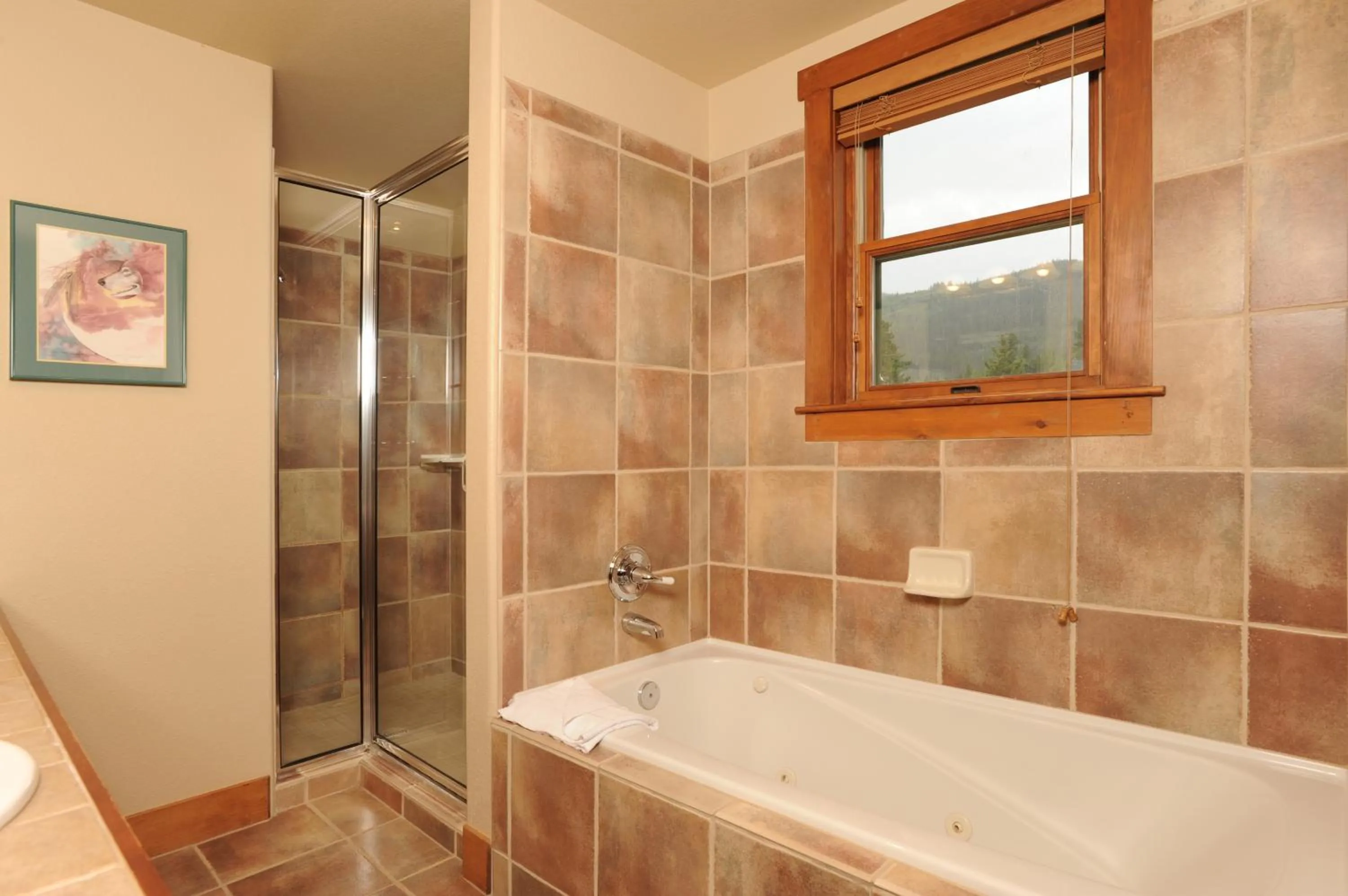 Red Hawk, A Vail Resorts Property