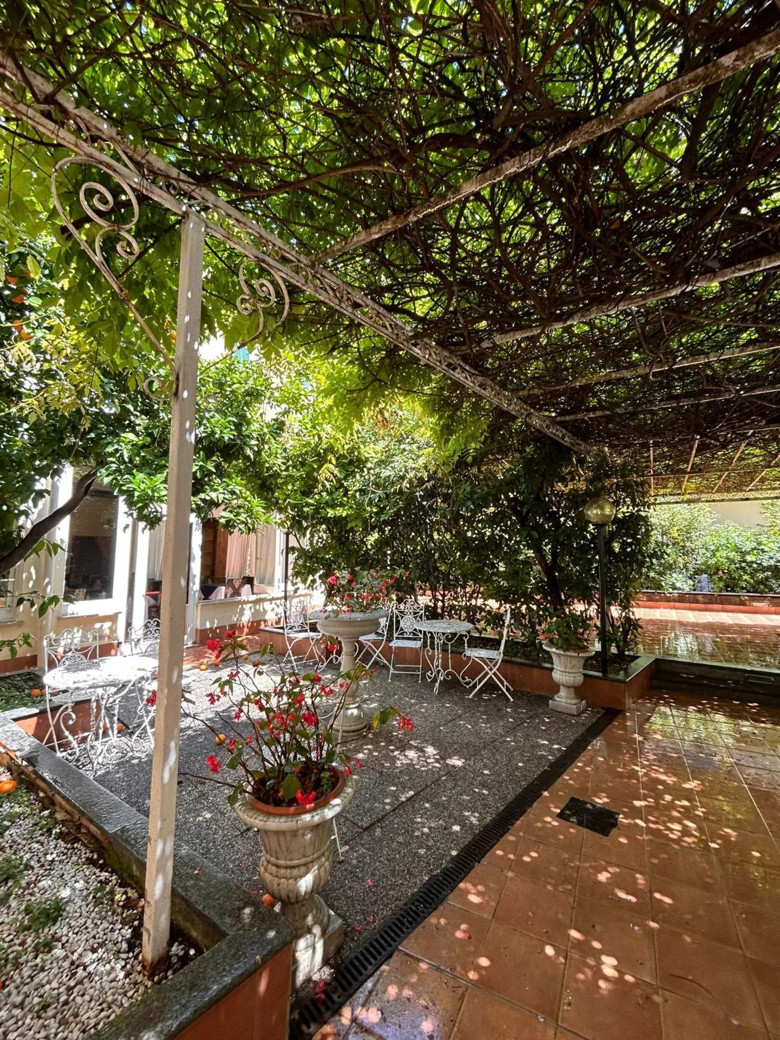 Garden in Hotel Villa Luisa