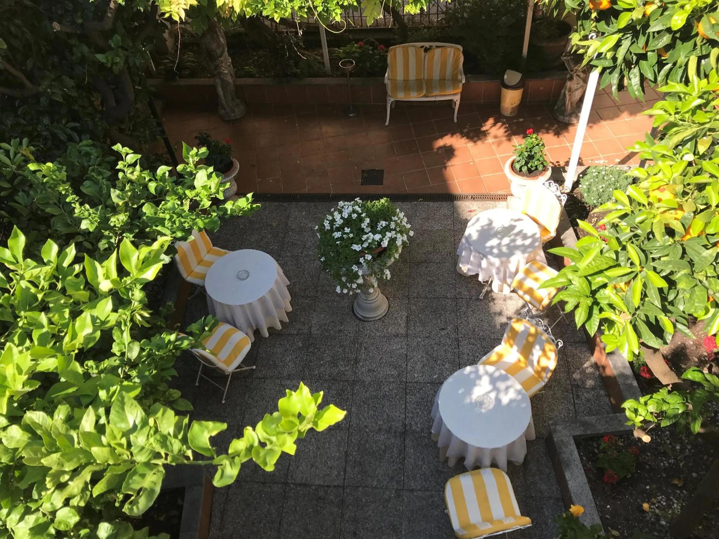 Garden in Hotel Villa Luisa