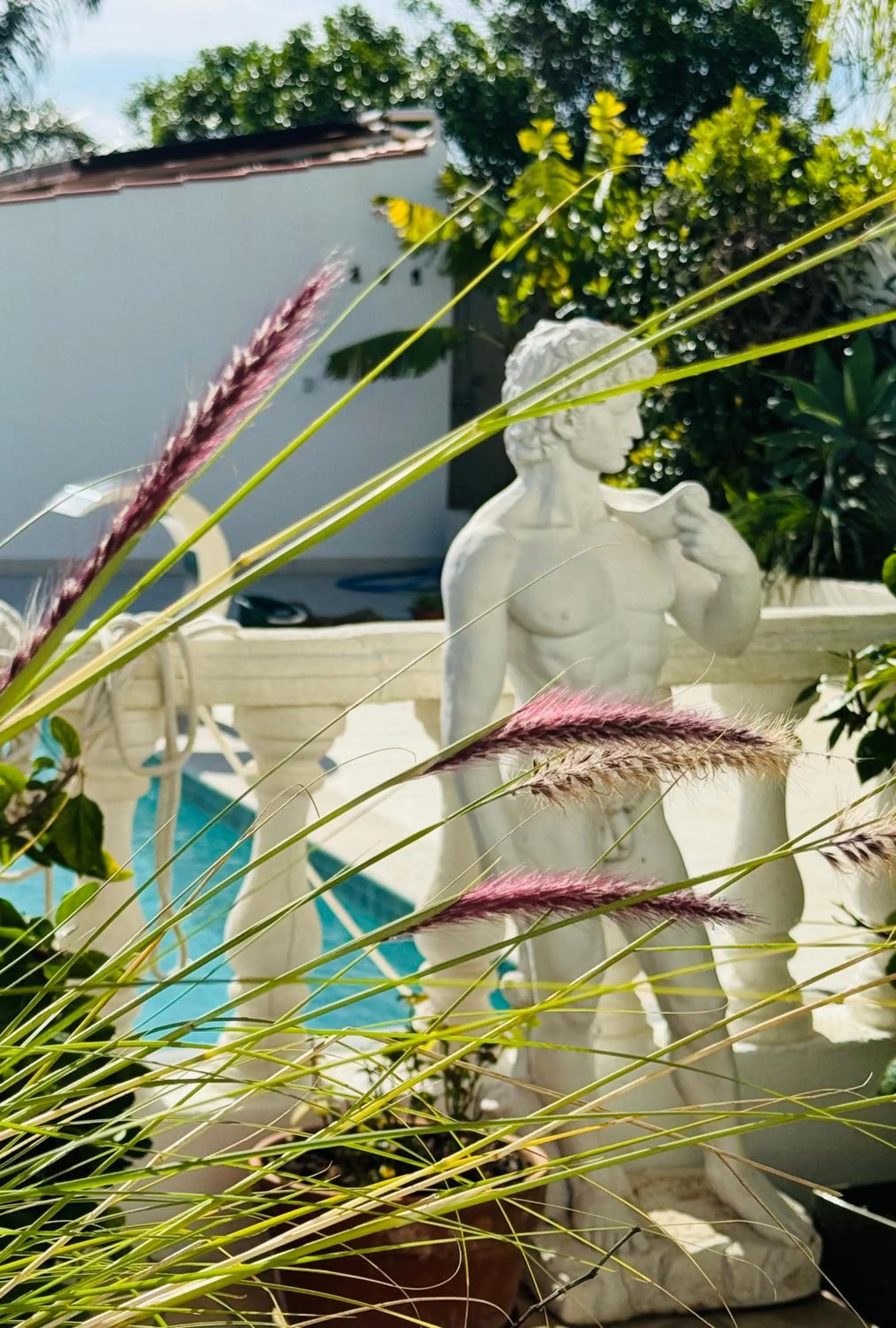 Swimming pool in Palm View Guesthouse, adults only