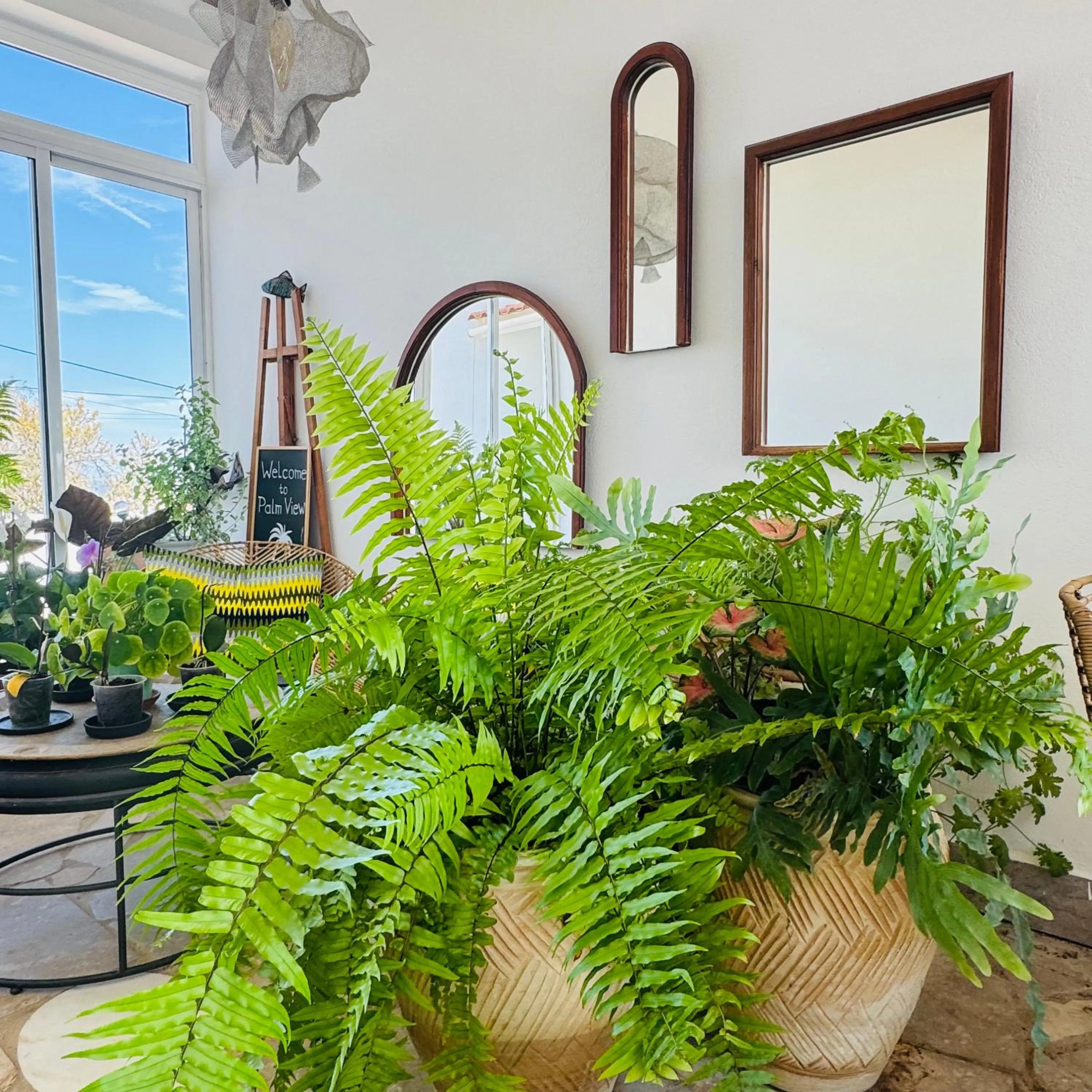 Palm View Guesthouse, adults only