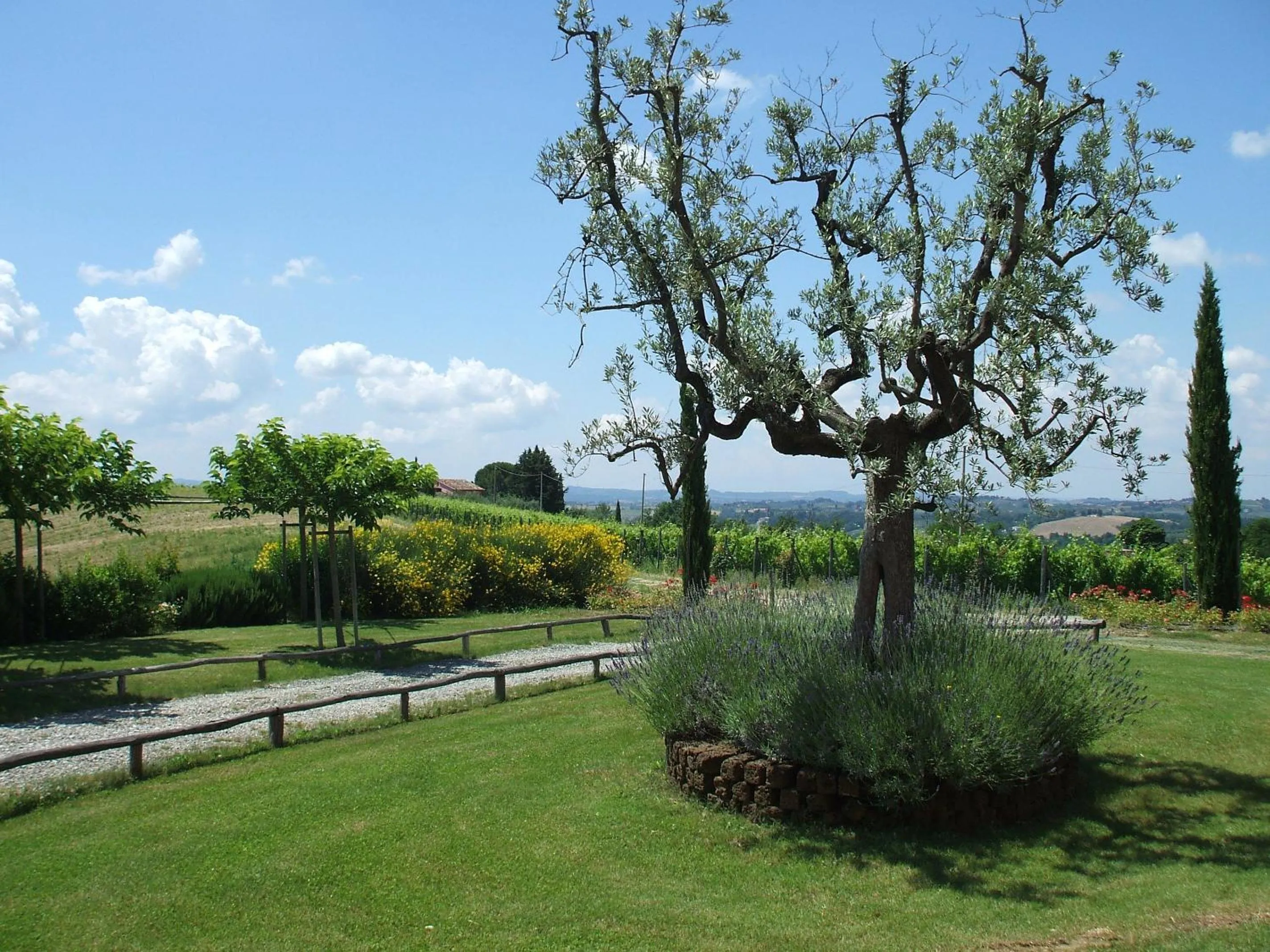 Garden in Le Fonti A San Giorgio