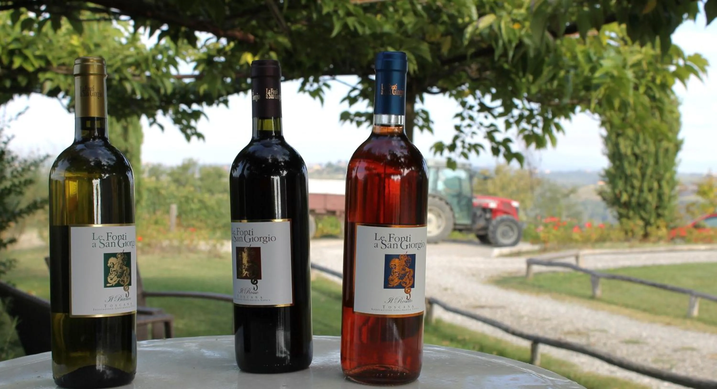 Alcoholic drinks in Le Fonti A San Giorgio