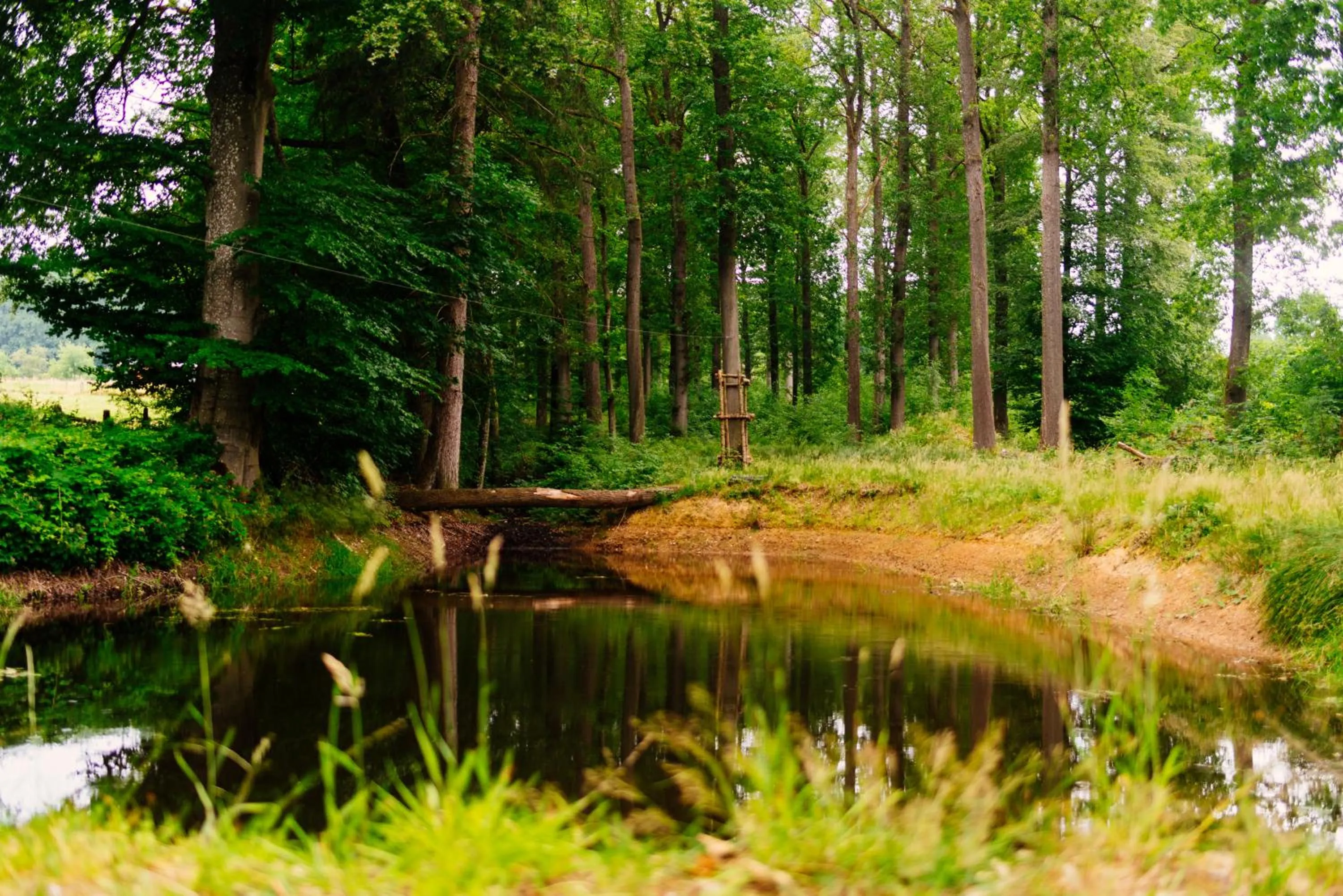 Lake view in Le Domaine de Bra