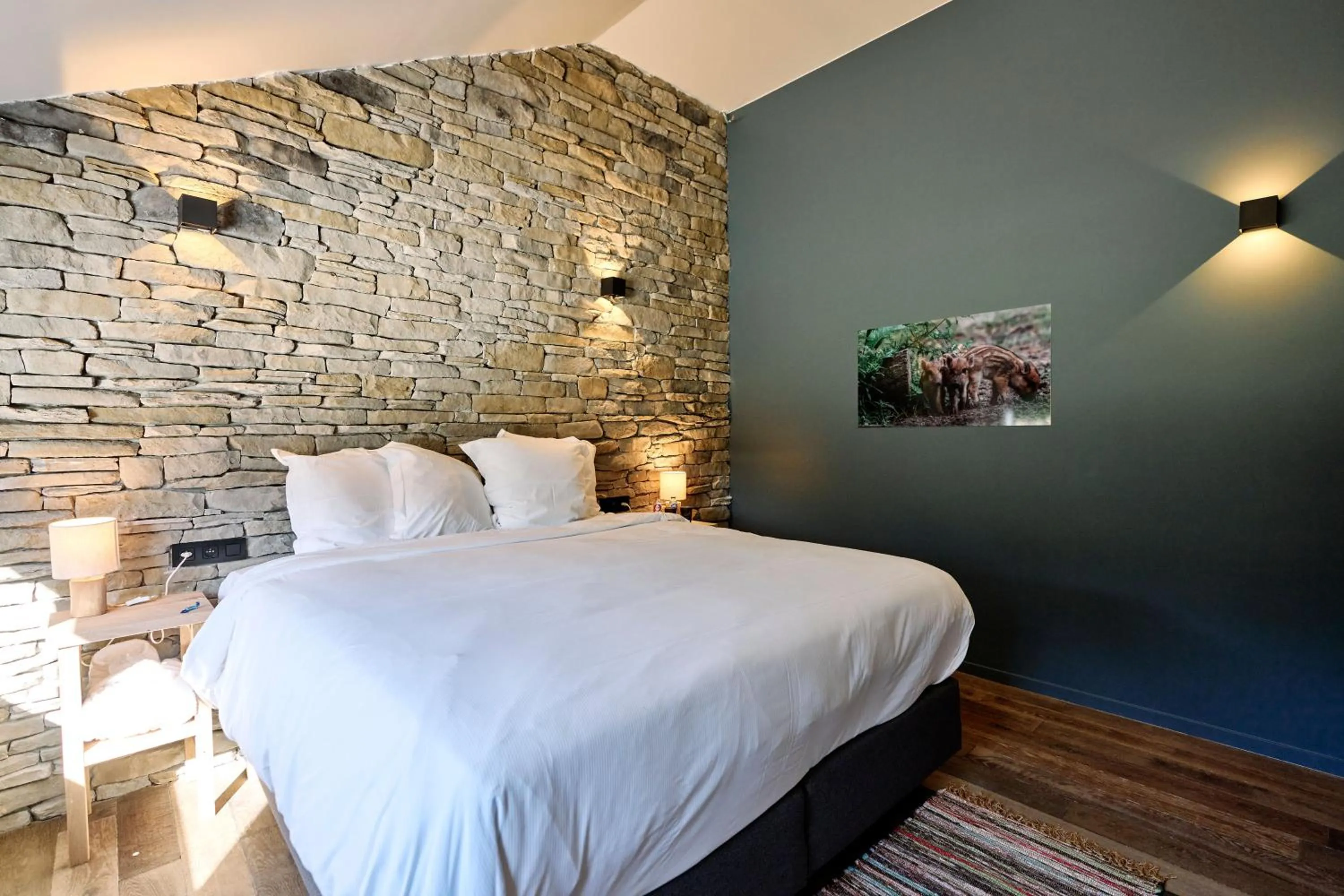 Photo of the whole room, Bed in Le Domaine de Bra