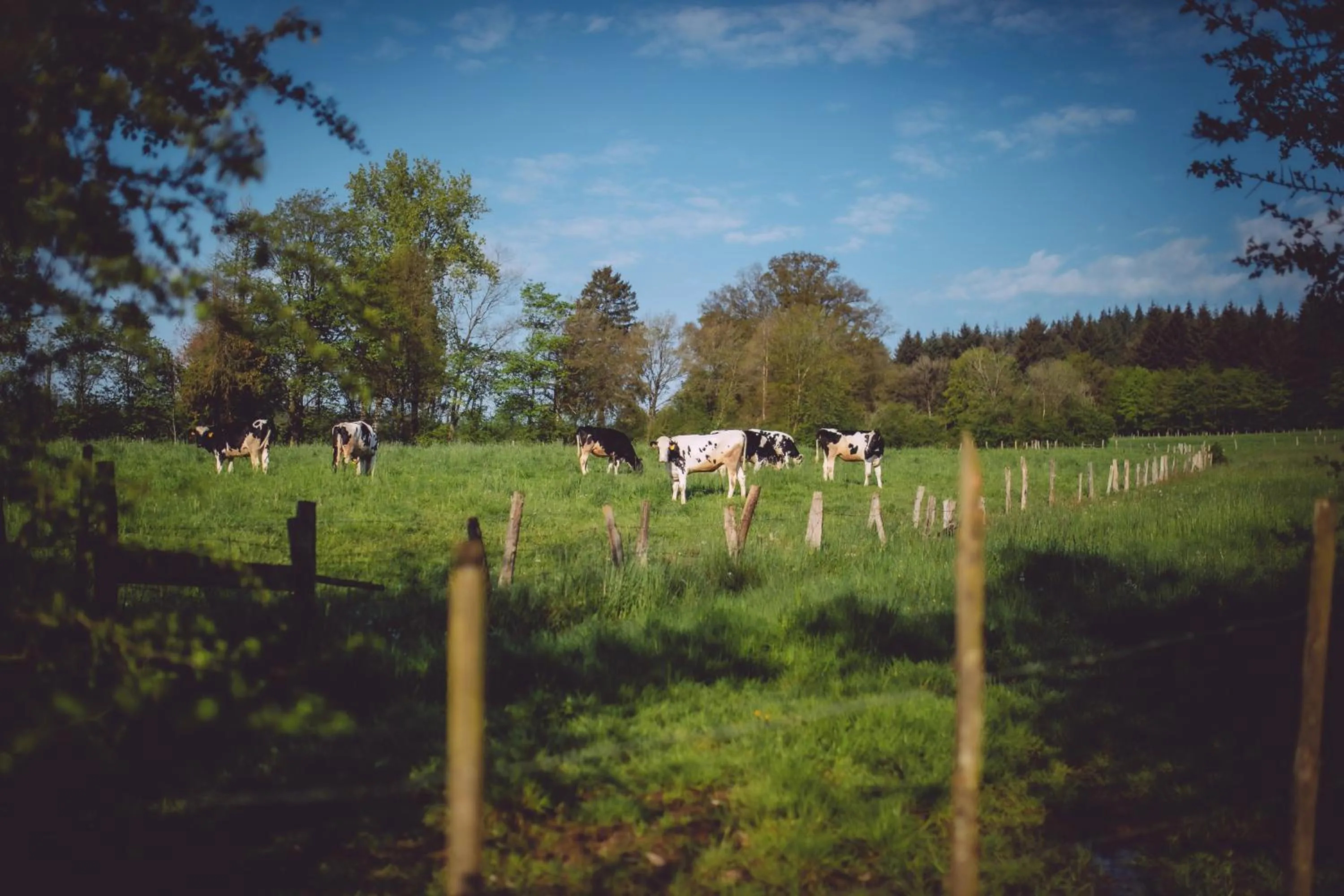 Natural landscape in Le Domaine de Bra