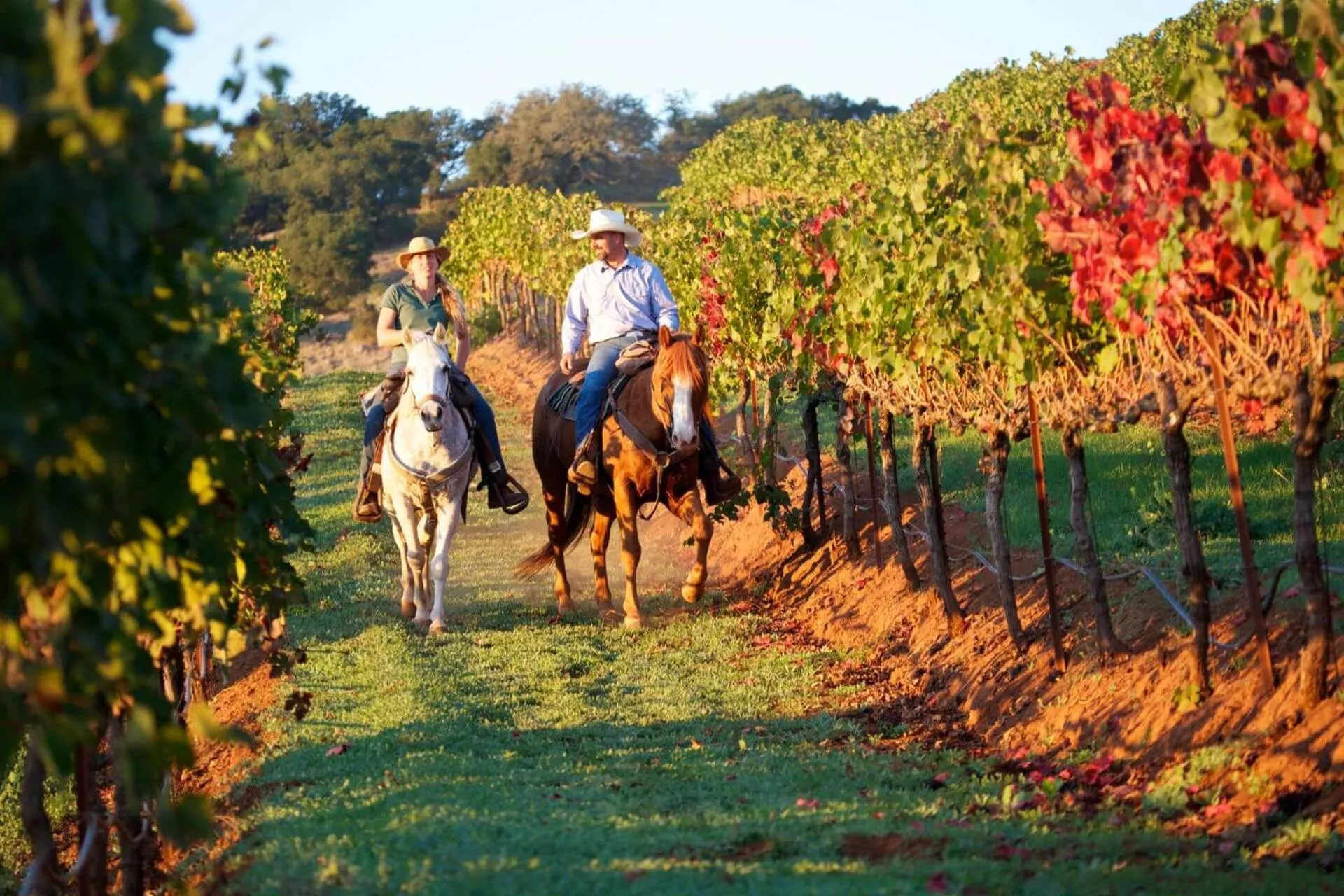 Horse-riding in Cascina De' Fagiolari
