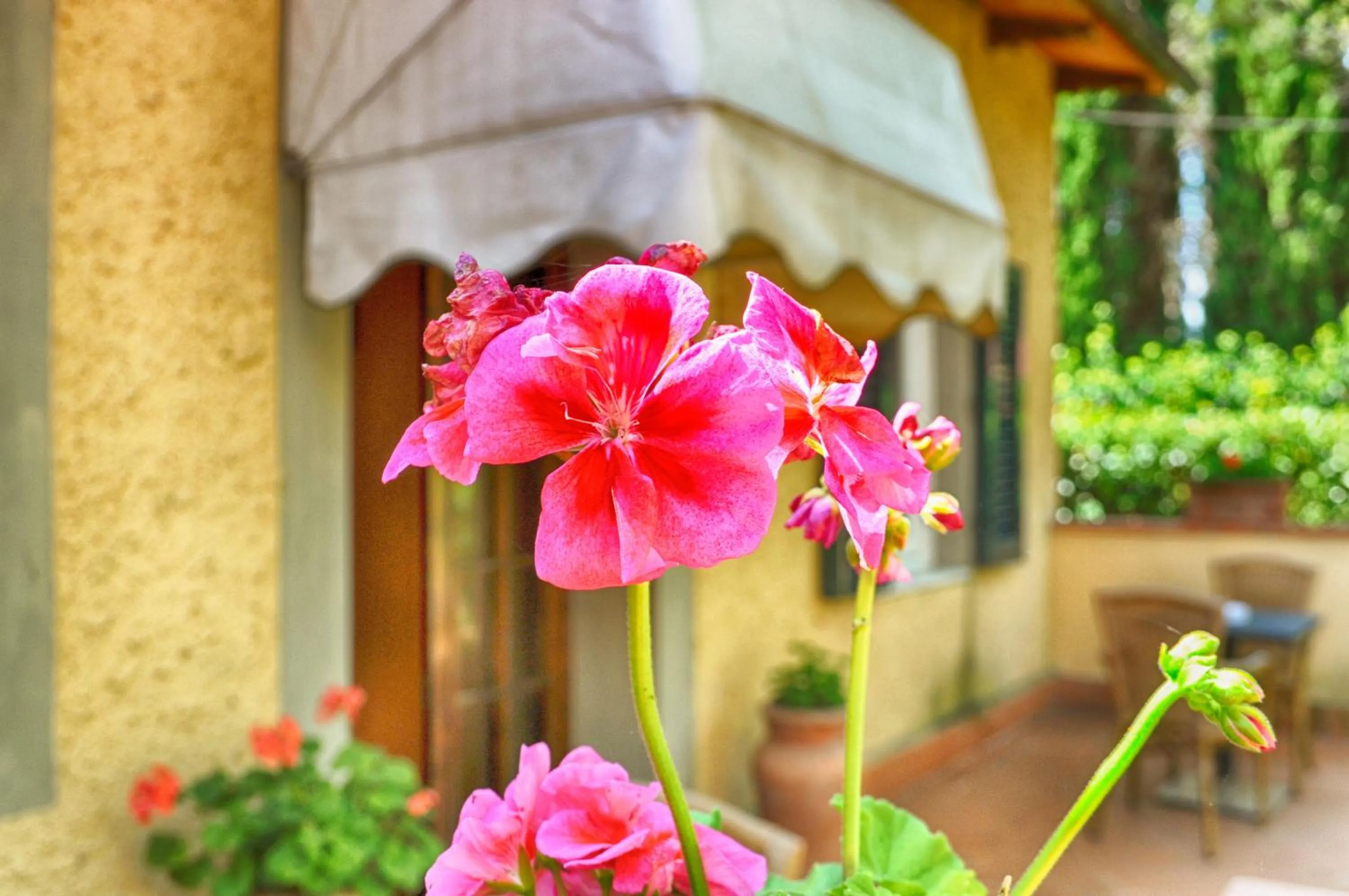 Facade/entrance in Cascina De' Fagiolari