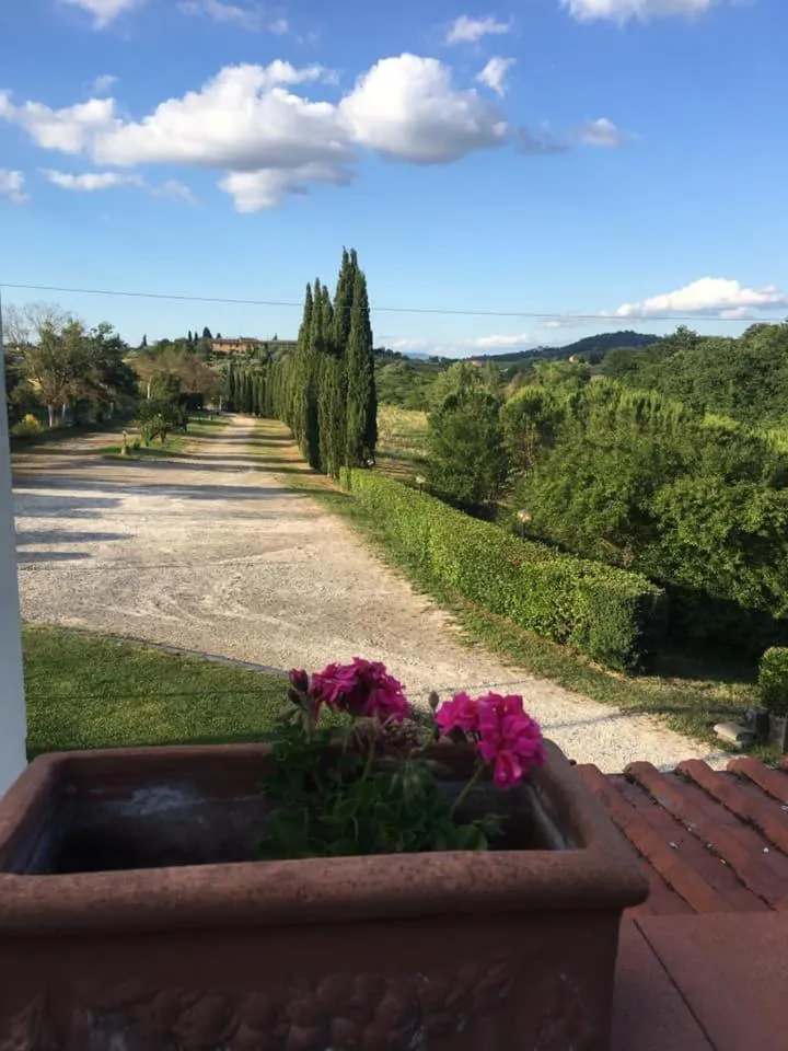 Quiet street view in Cascina De' Fagiolari
