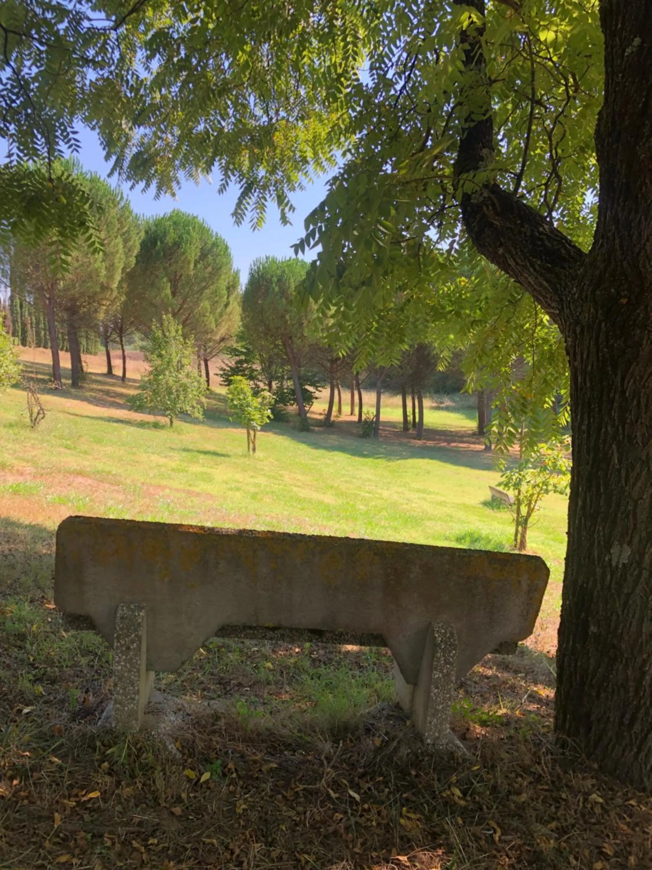 Spring in Cascina De' Fagiolari