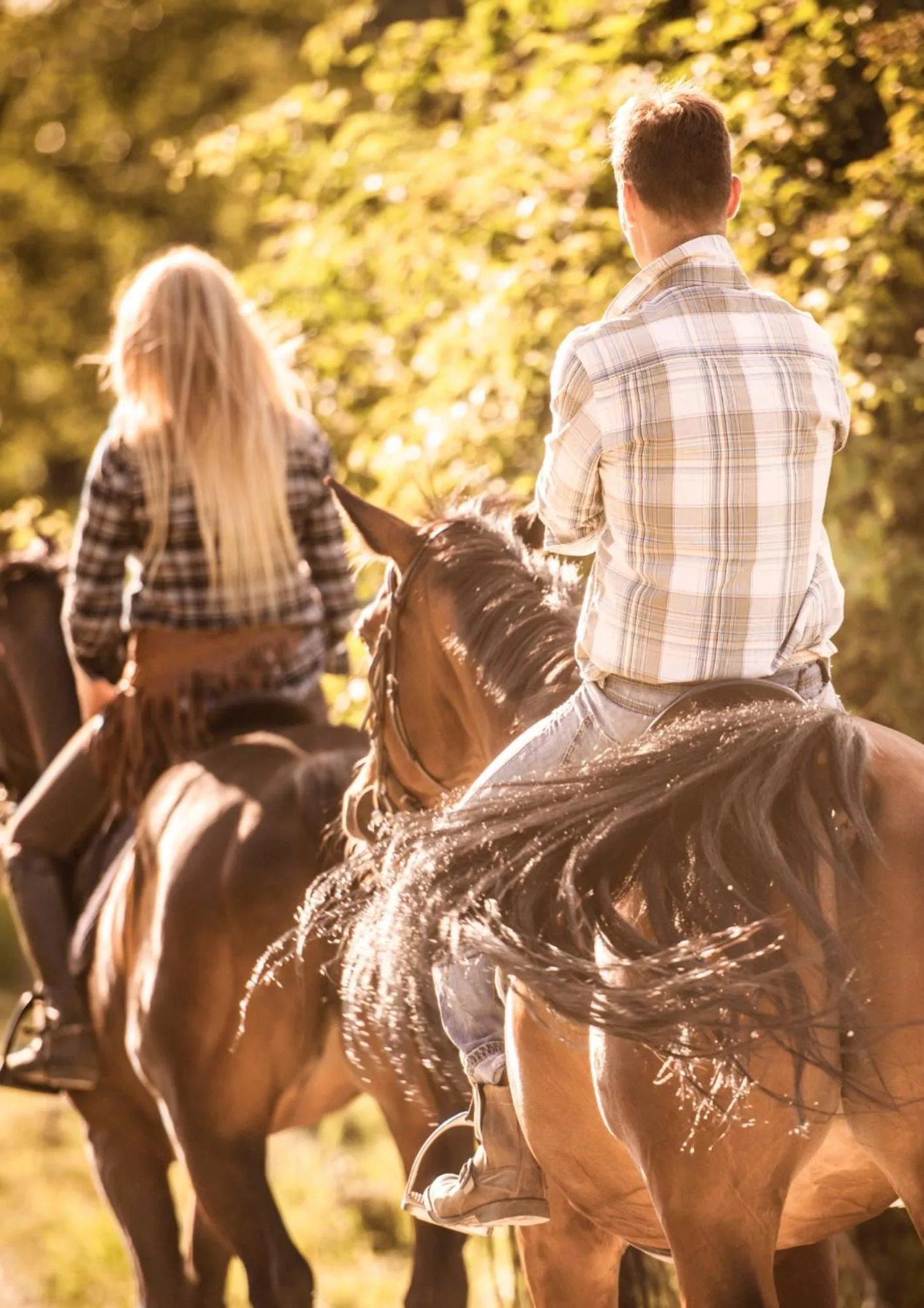 Activities in Cascina De' Fagiolari