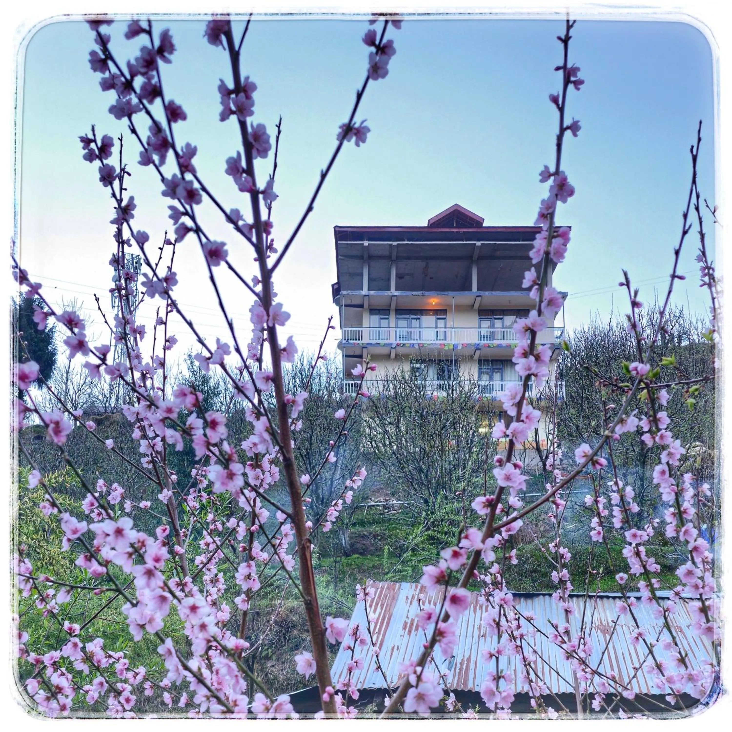 Property building in La Heim Hostels