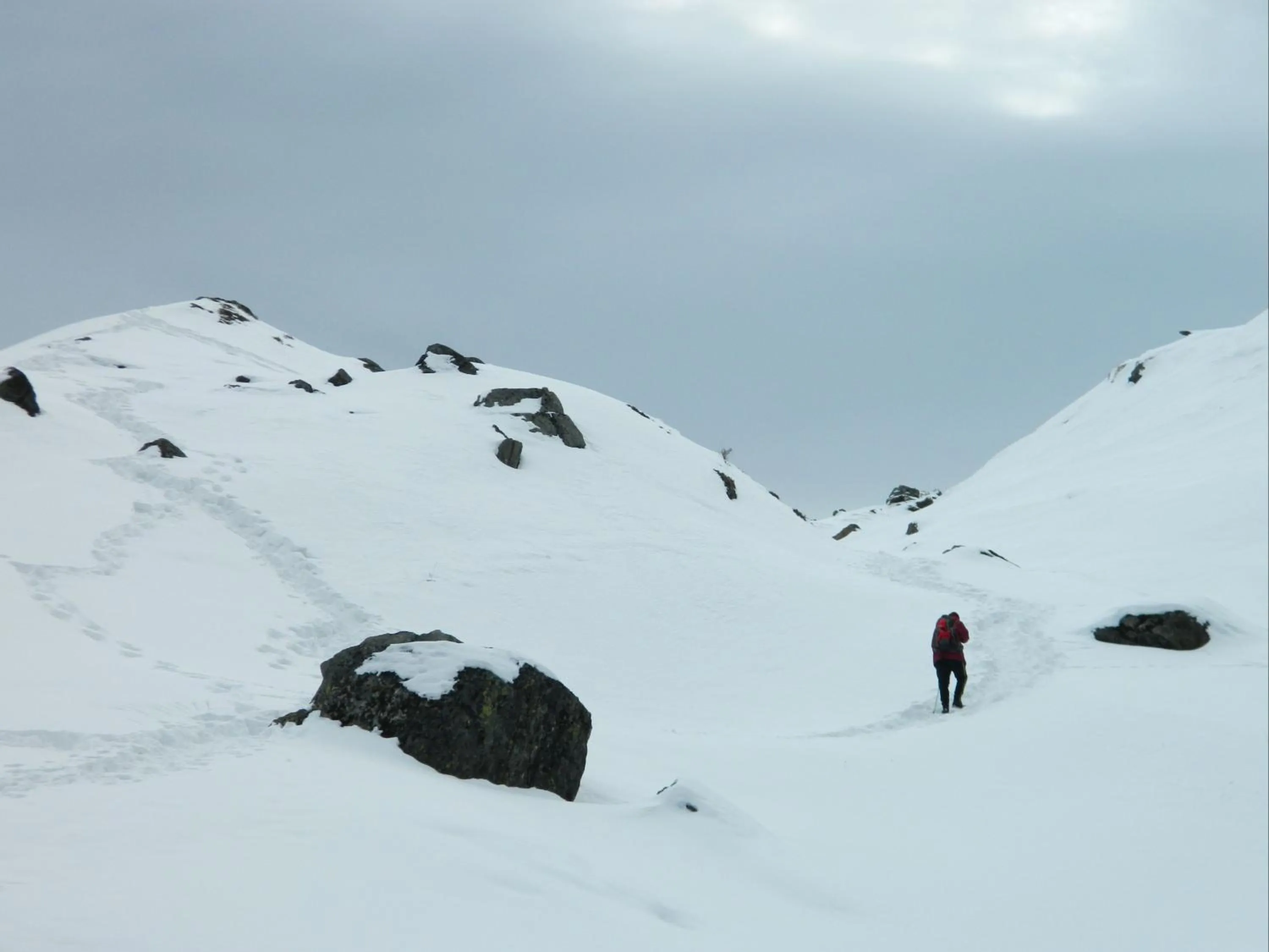 View (from property/room) in The Hosteller Kasol, Riverside
