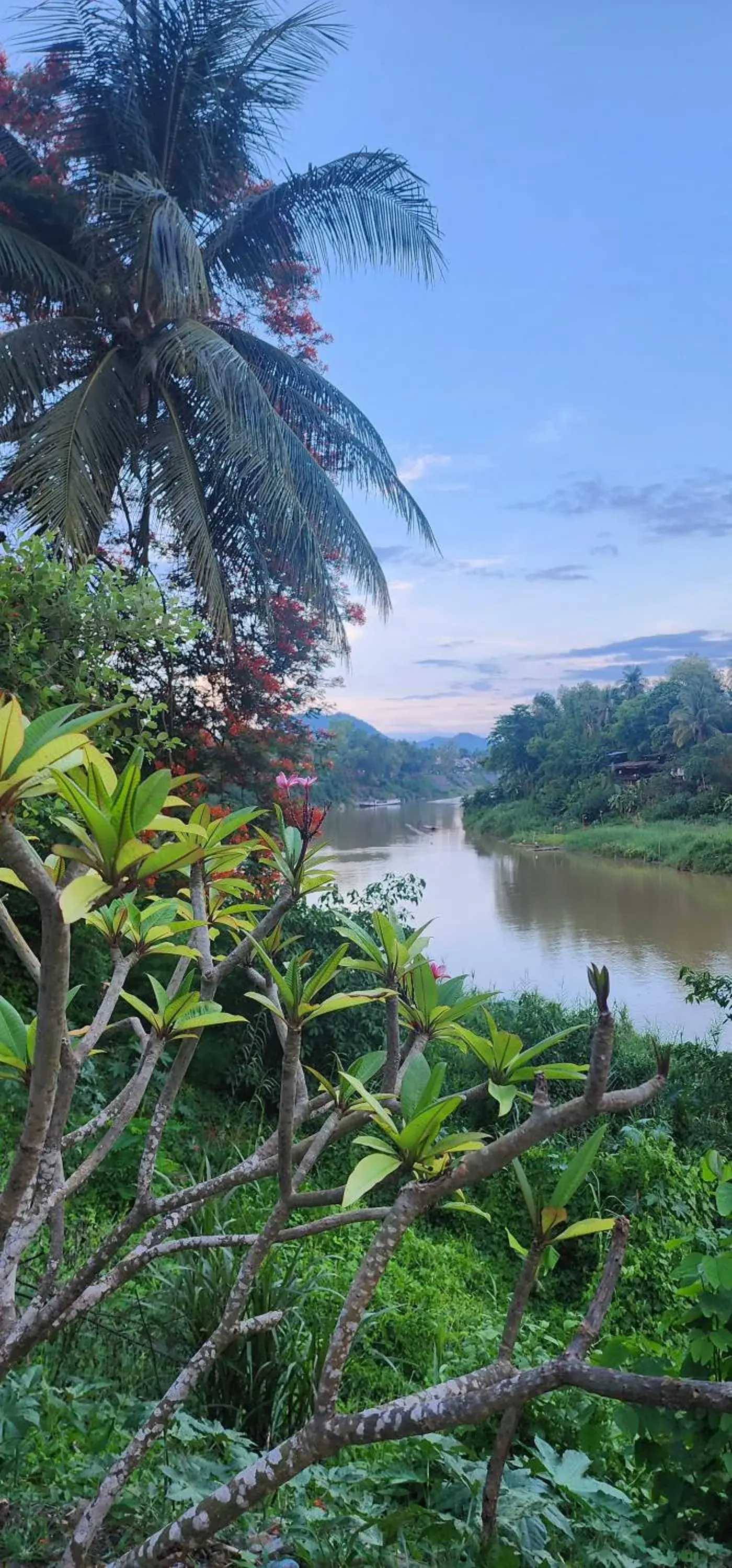 Deluxe King Room in Maison Zen Aphay Deluxe King Room in Maison Zen Aphay