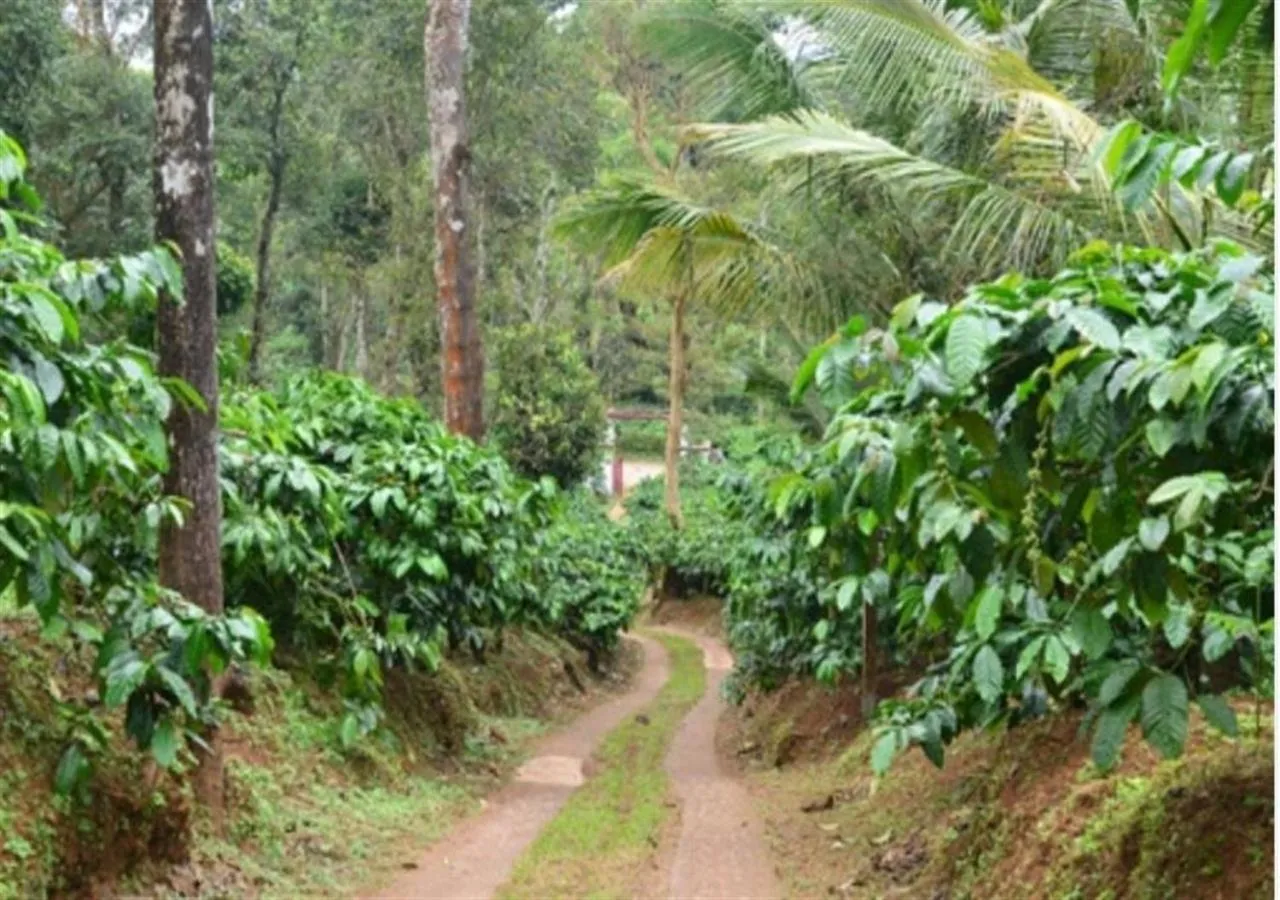 Facade/entrance in Orange Valley Plantation Holiday Coorg