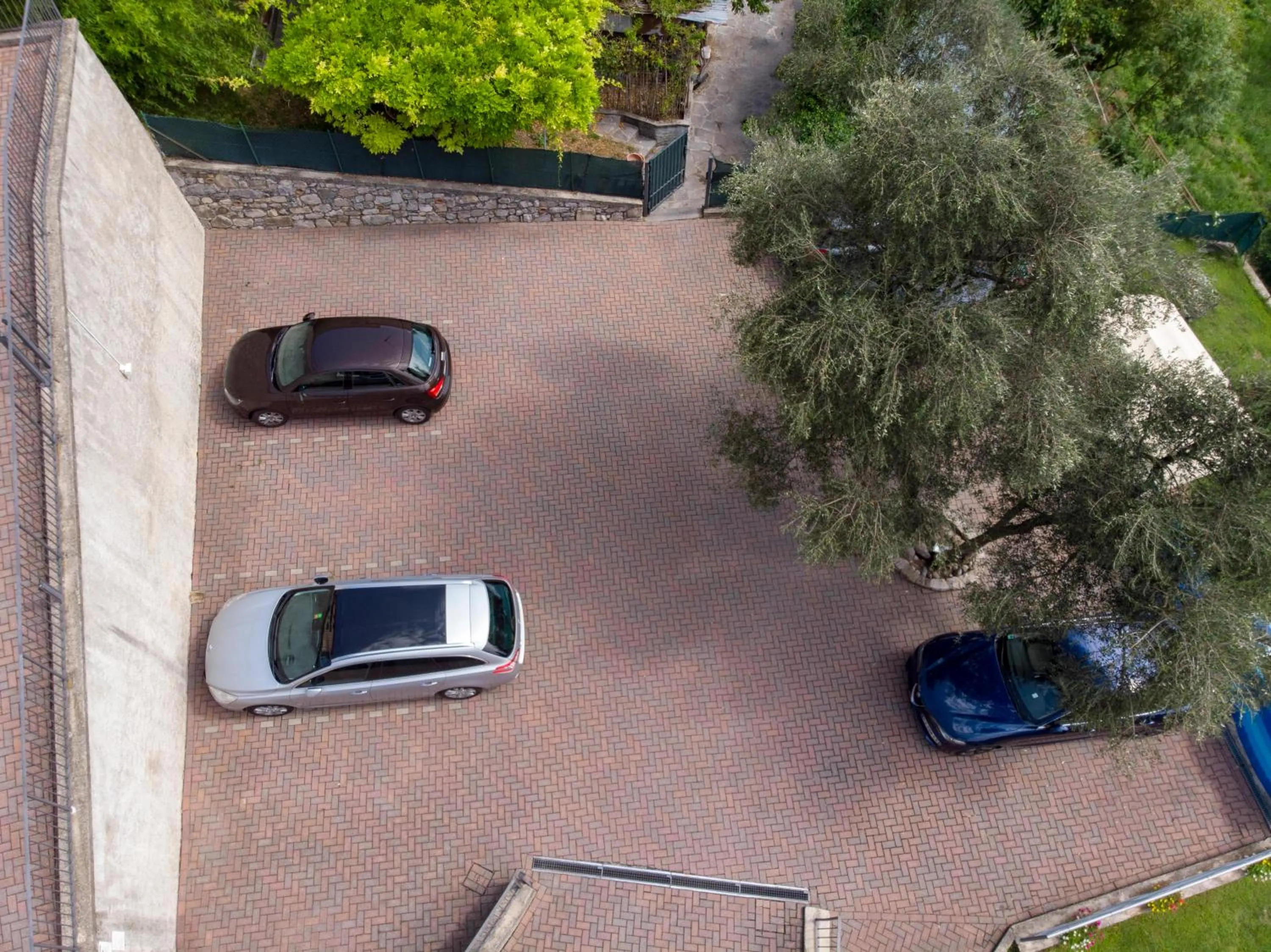 Area and facilities in Residence Celeste