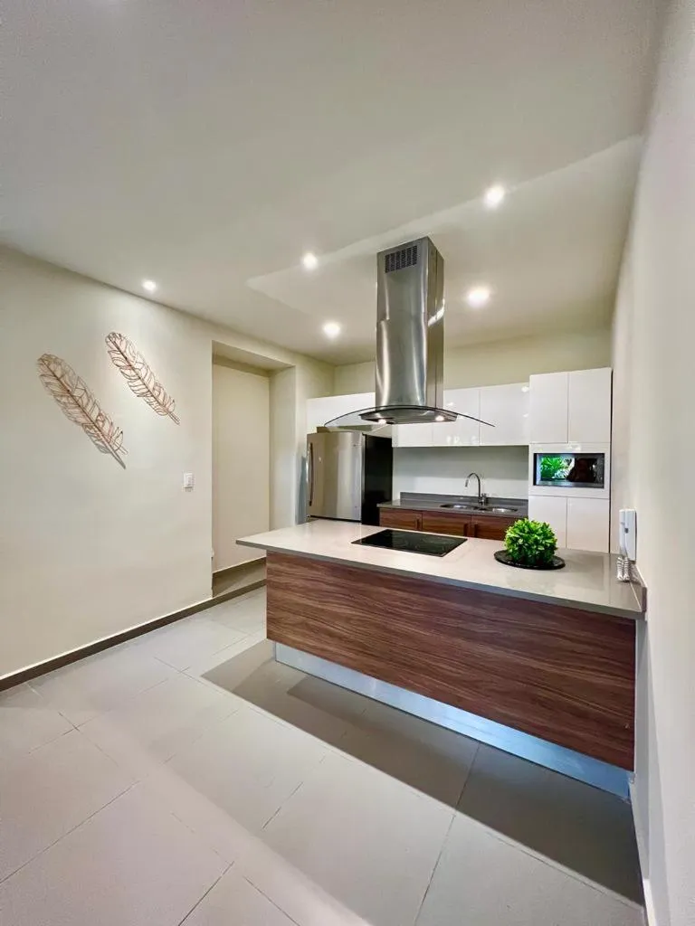 Lujoso departamento en el corazón de Playa