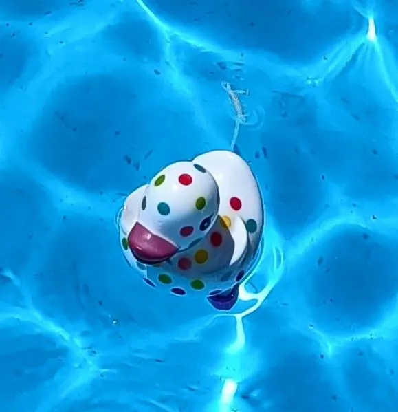 Swimming Pool in Chez Christelle & Francky