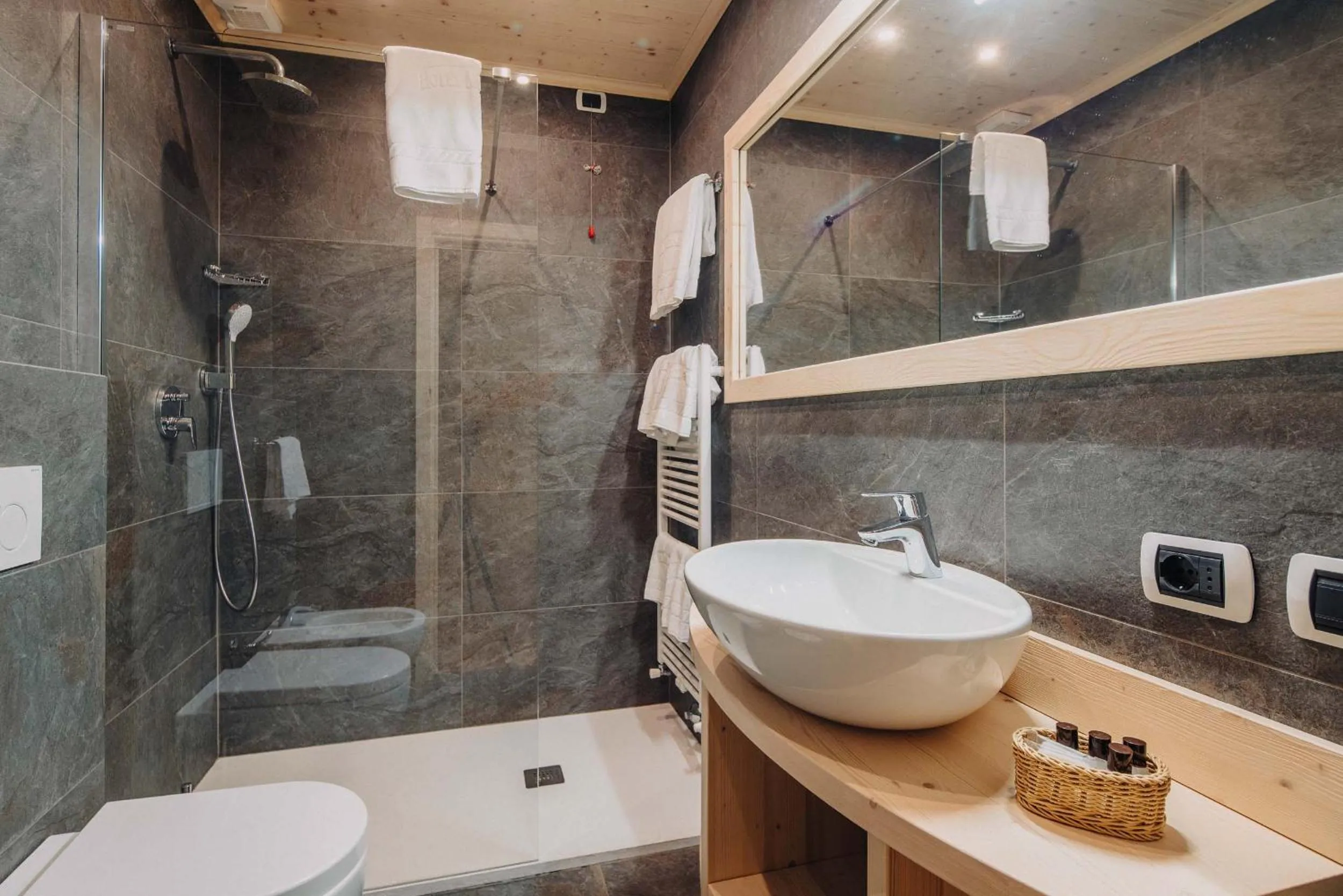 Shower in Hotel Menardi