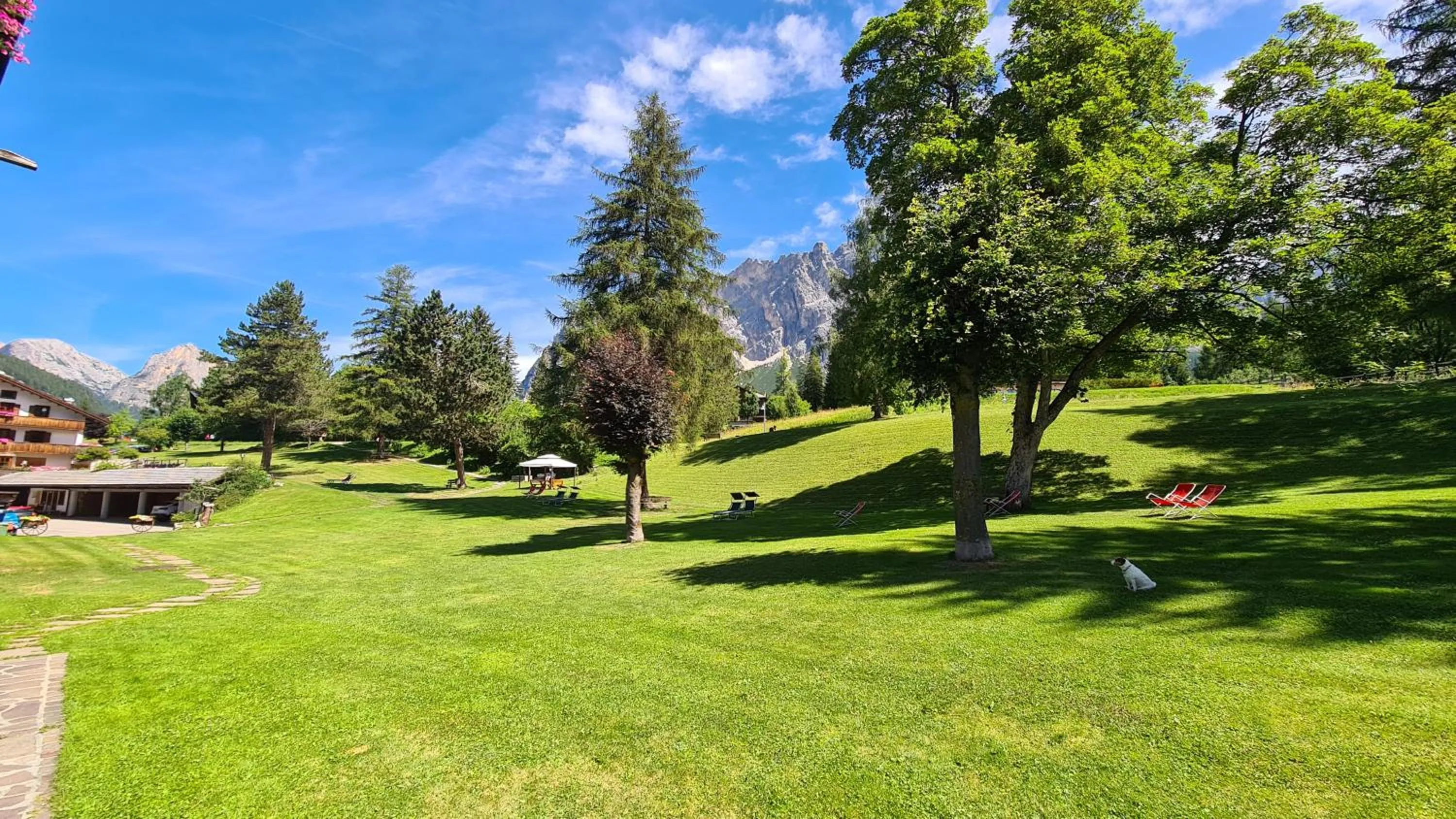 Garden in Hotel Menardi