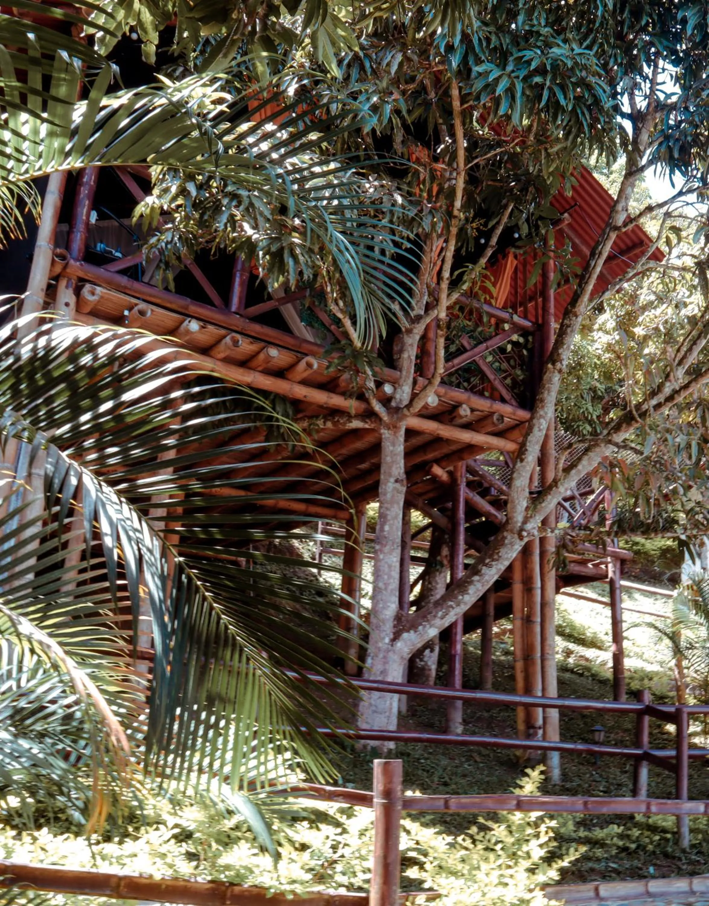 Day in Glamping Mirador Santa Fe-Sopetran