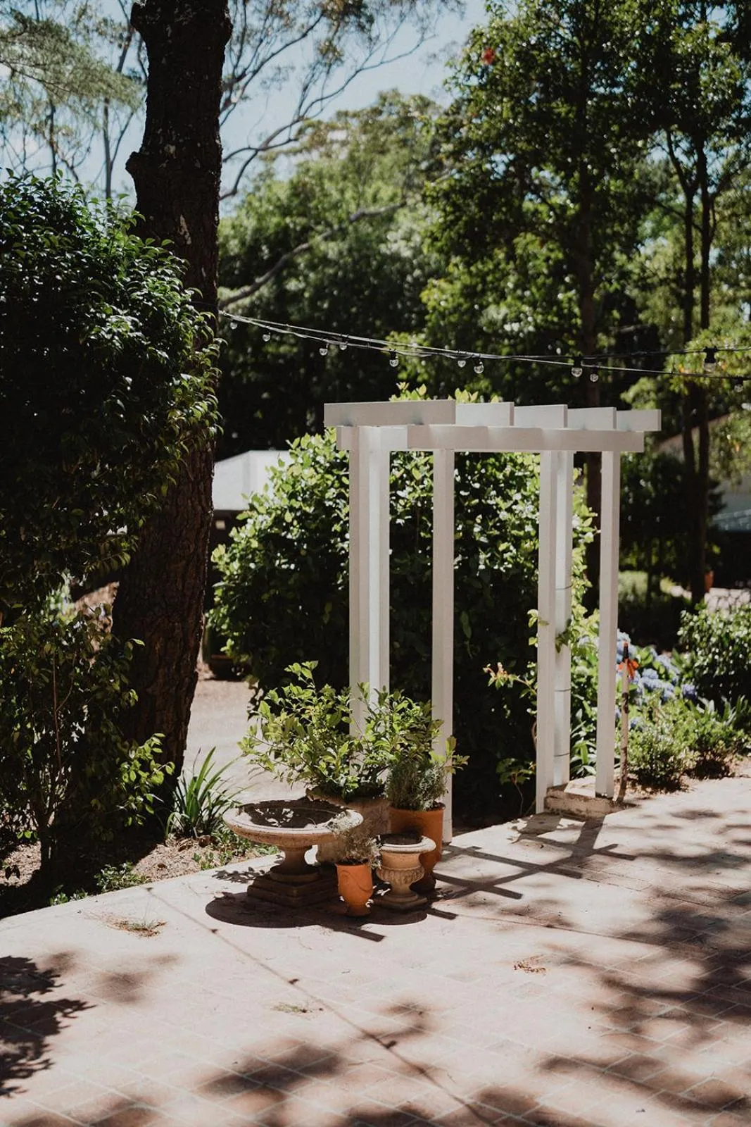 Garden in The Lodge Jamberoo