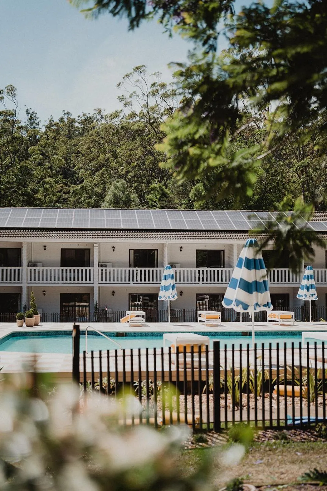 Garden in The Lodge Jamberoo