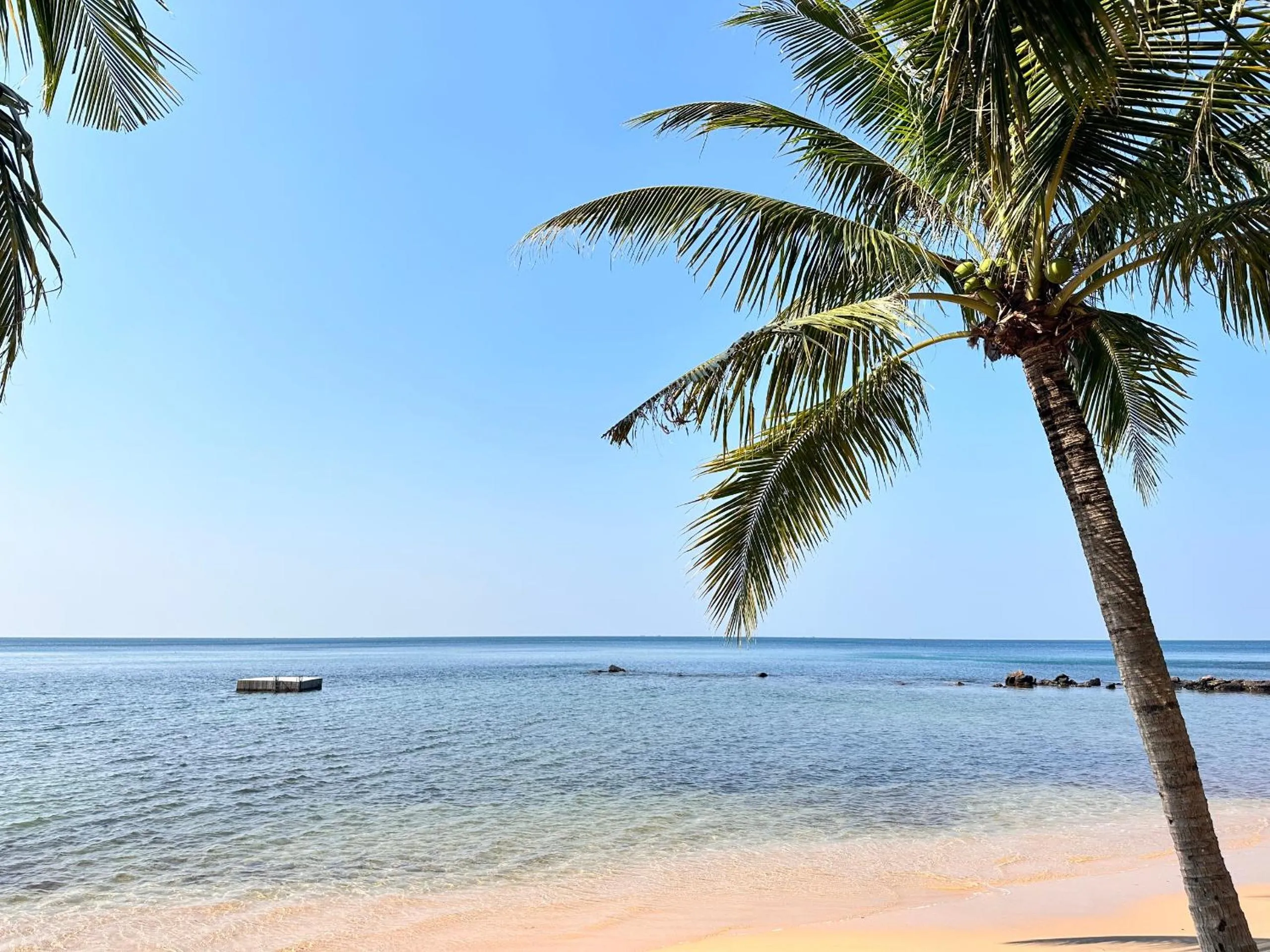 Day in Sea Sense Resort