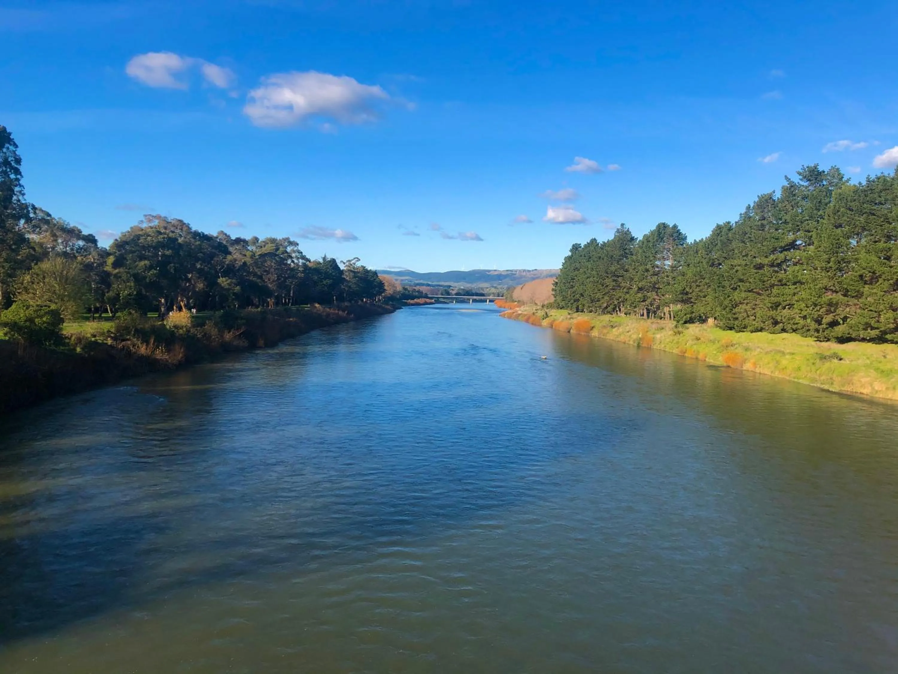 Natural landscape in Hacienda Motor Lodge