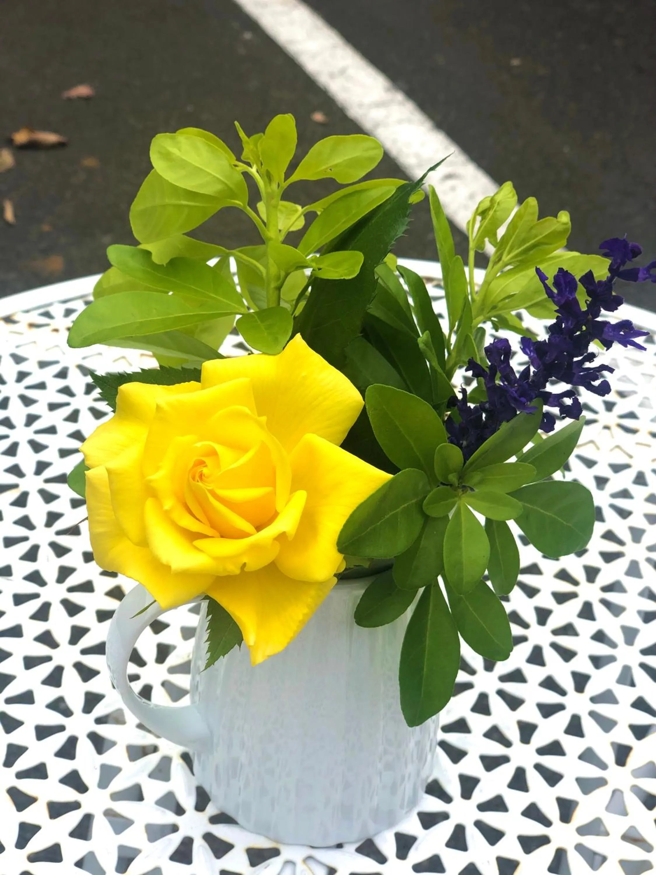 Garden in Hacienda Motor Lodge