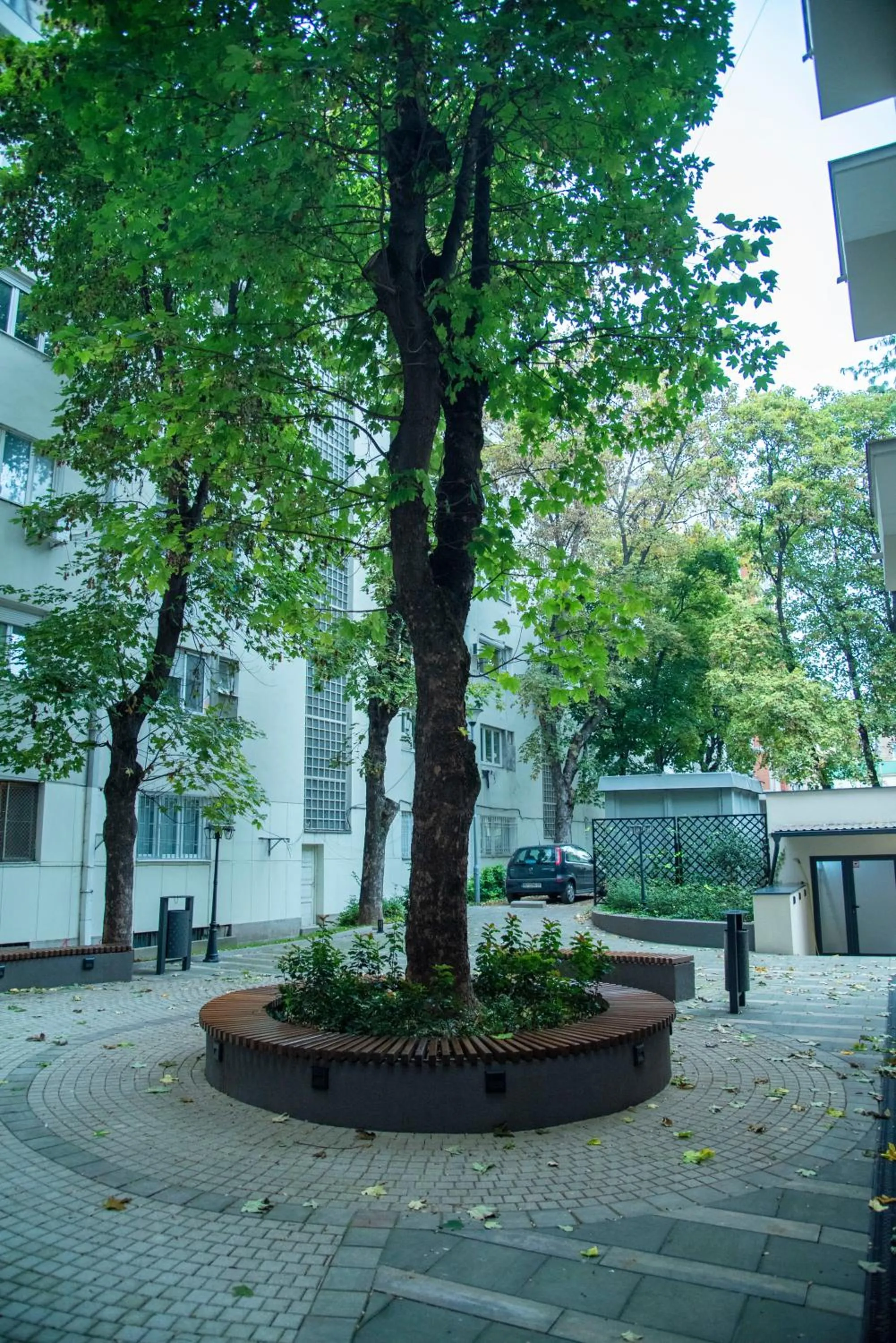 Day in H41 Luxury Suites