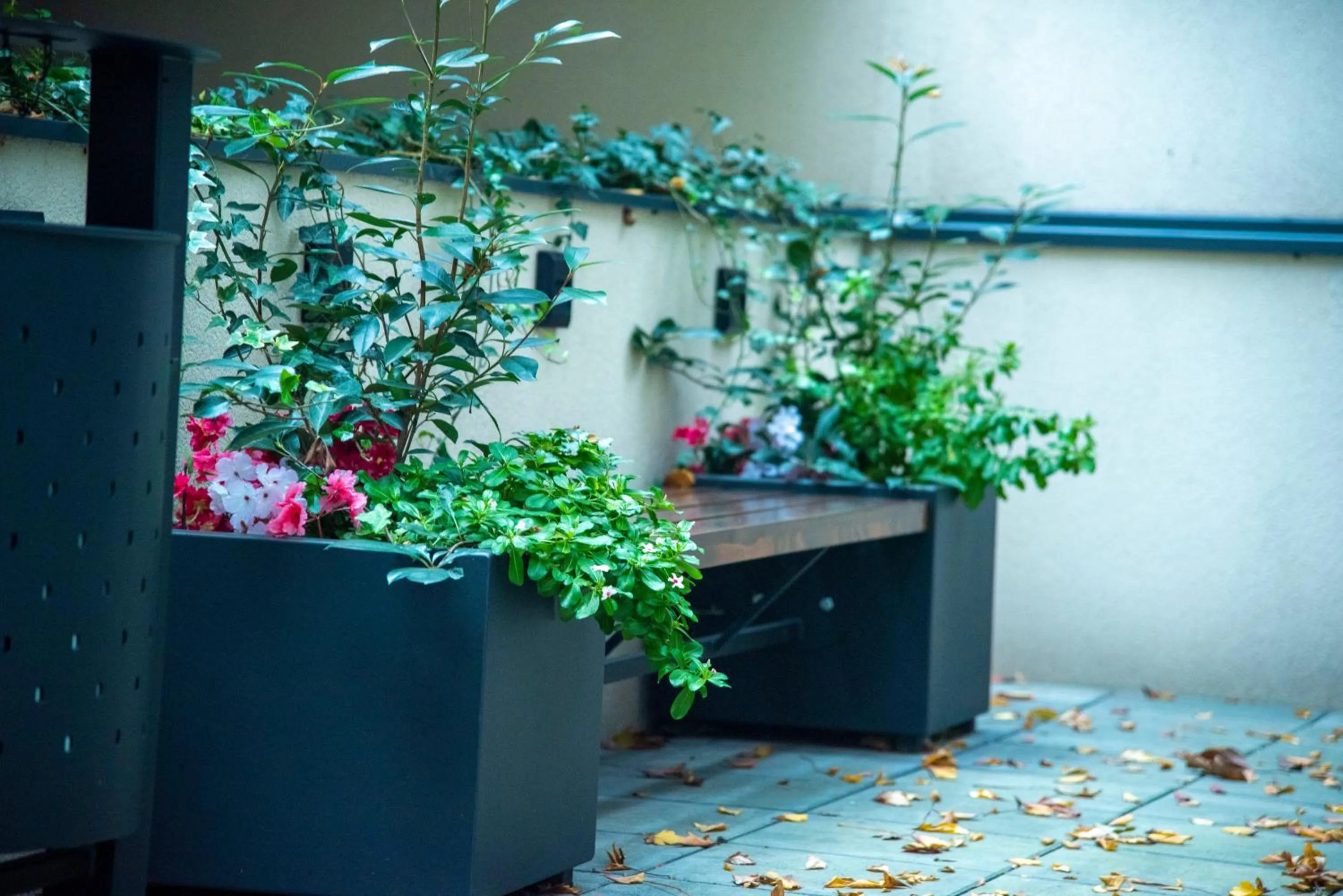 Garden in H41 Luxury Suites