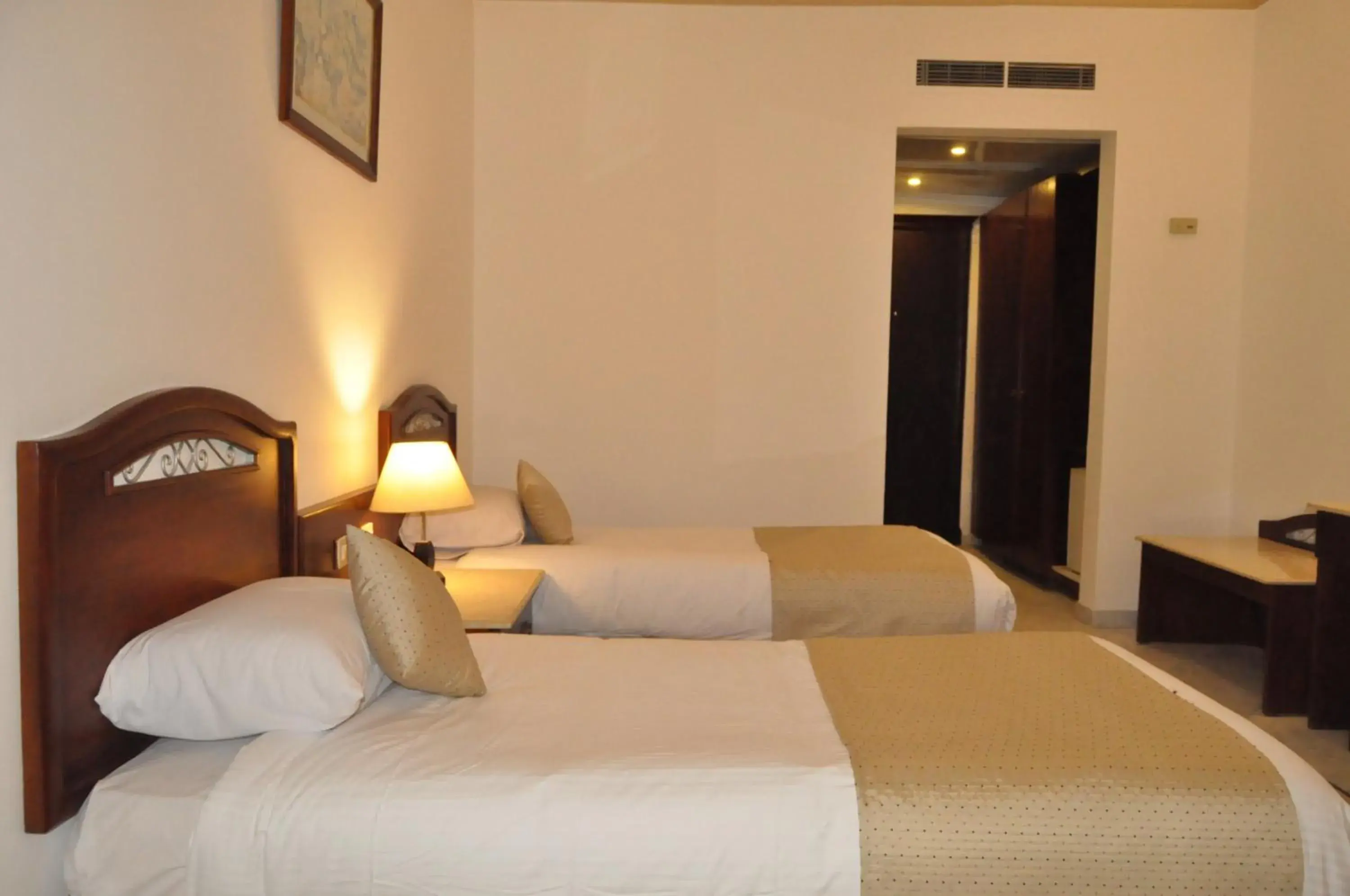 Standard Double Room - single occupancy in Dexon Roma Hotel Standard Double Room - single occupancy in Dexon Roma Hotel