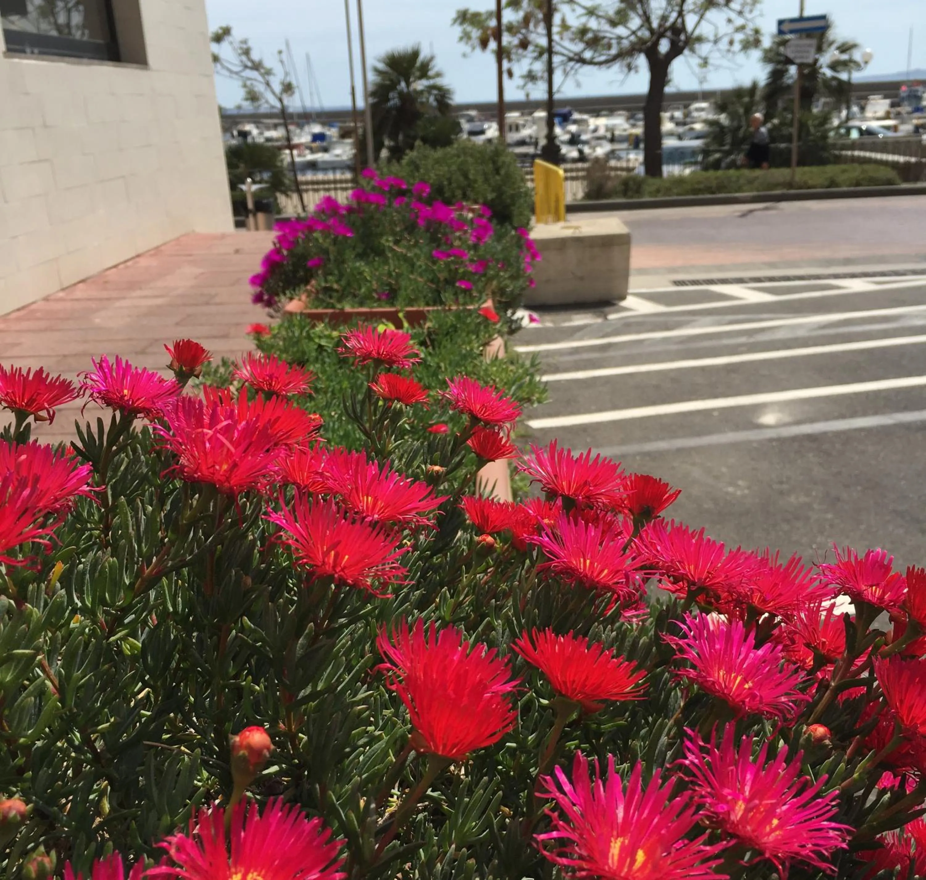 Spring in Hotel Don Pedro