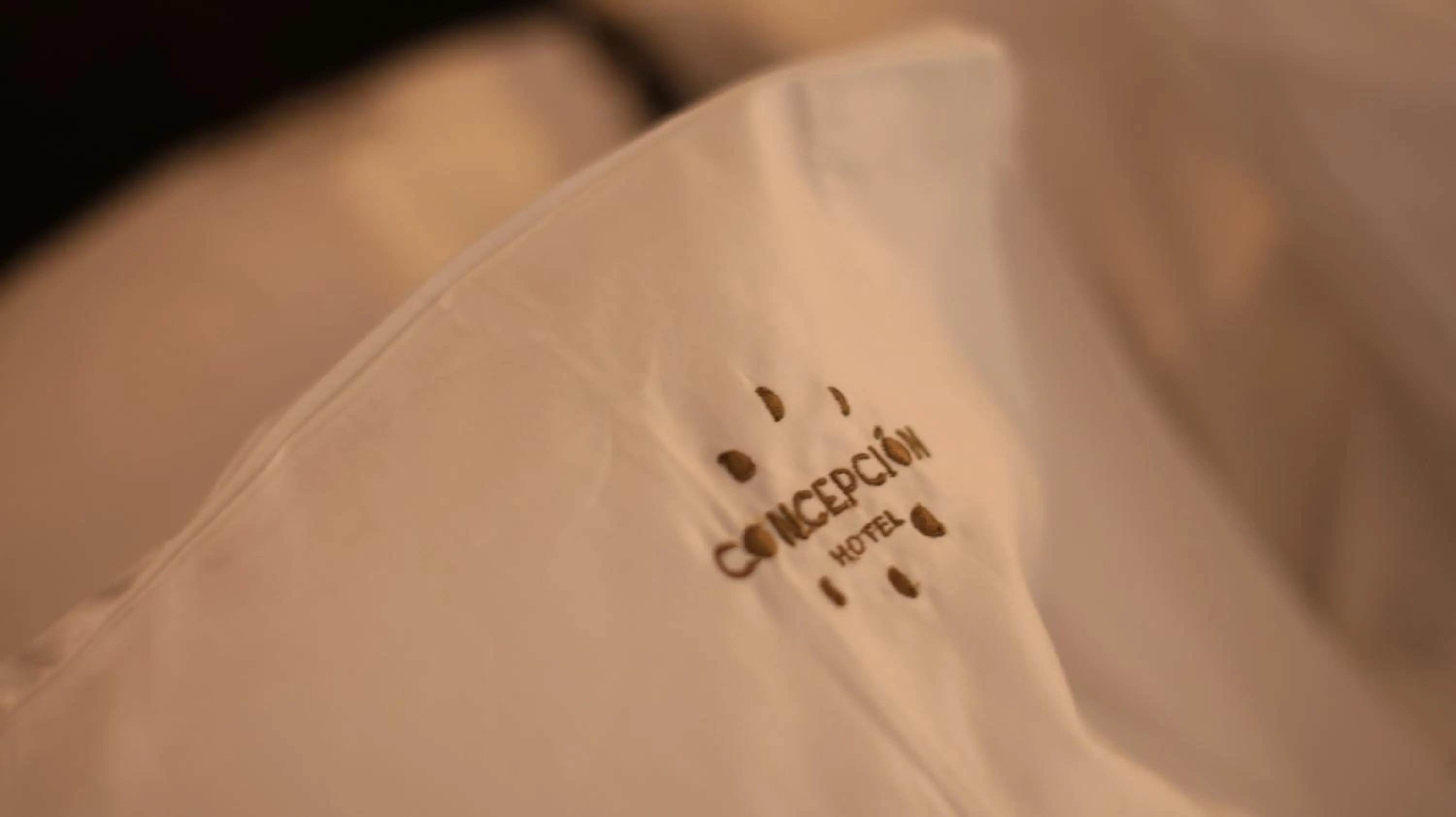 Toilet in Concepción Hotel Boutique - Adults Only